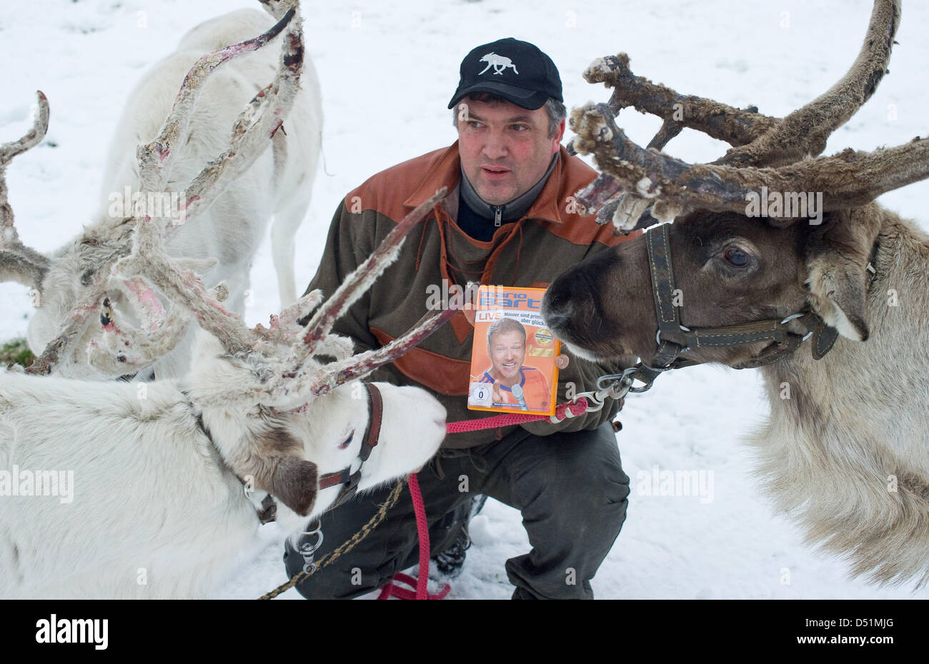 Reindeer breeder Thomas Golz holds a DVD of German comedian Mario Barth in his hands as he poses with his reindeers in Kleptow, Germany, 7 December 2010. Golz treats his animals with live stand-ups be Mario Barth in order to make them unreceptive to distractive exterior stimuli. Photo: Patrick Pleul Stock Photo