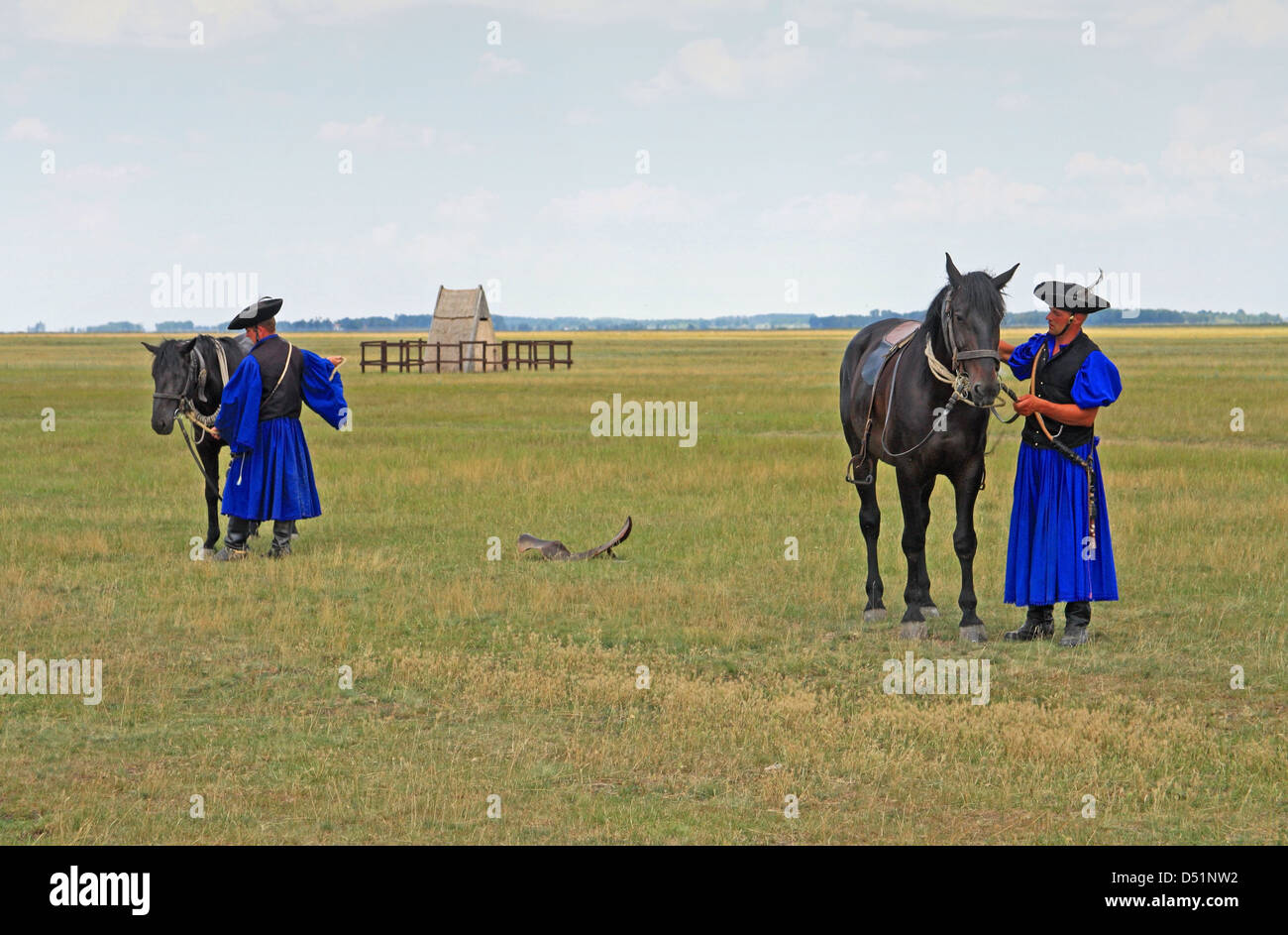 Display of horsemanship from gulyas (traditional herdsmen / cowboys) riding Hungarian horses. Hortobágy National Park, Hungary Stock Photo