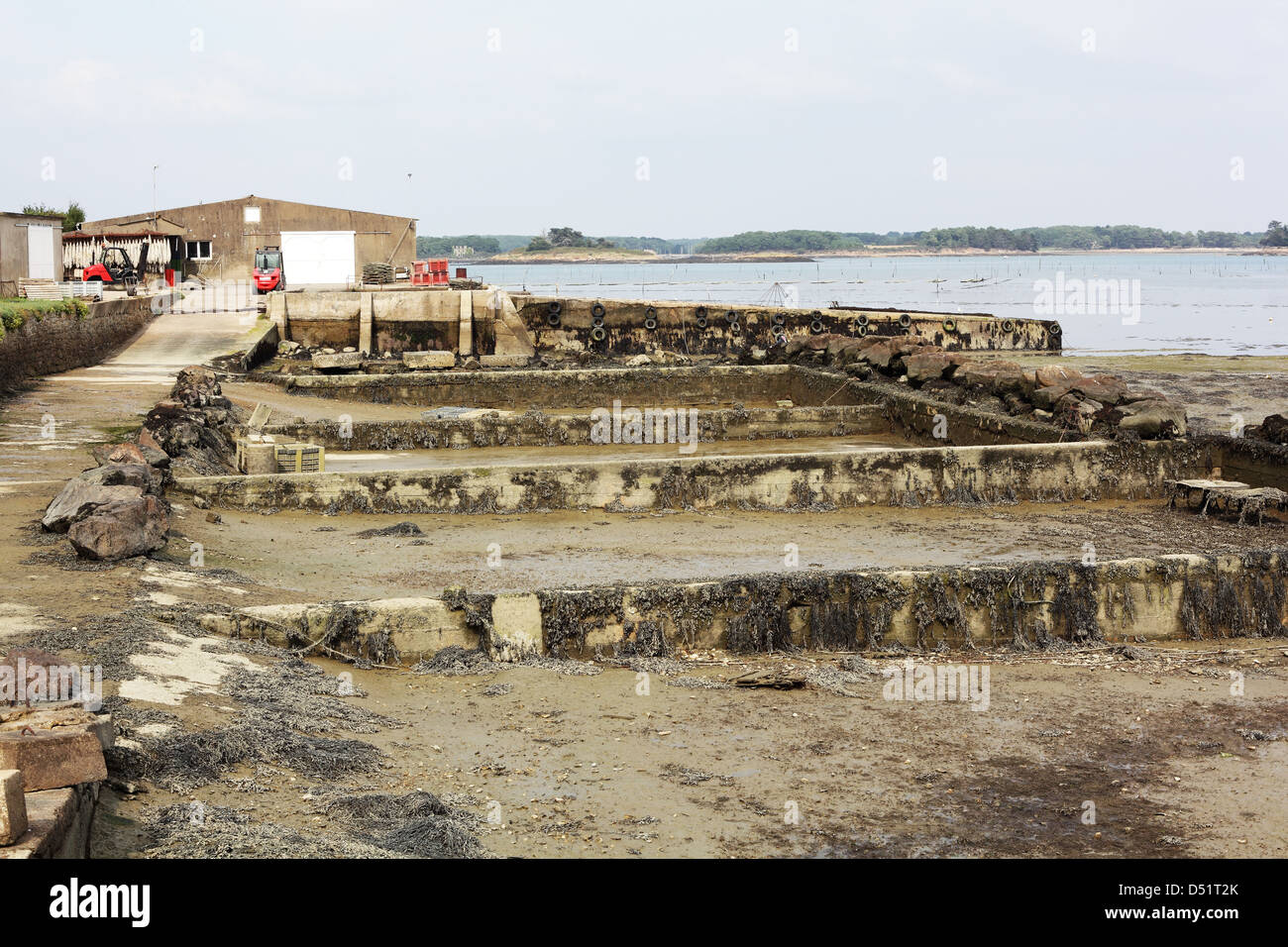 Shell Fish Farming Stock Photos Shell Fish Farming Stock shell fish farming stock photos shell fish farming stock