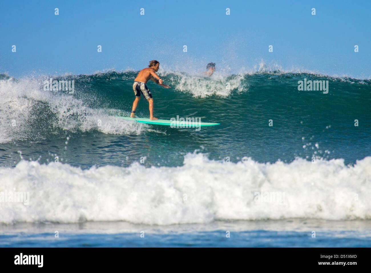 Indbildsk deltager løn Surfer on longboard riding wave at popular Playa Guiones surf beach,  Nosara, Nicoya Penninsula, Guanacaste Province, Costa Rica Stock Photo -  Alamy