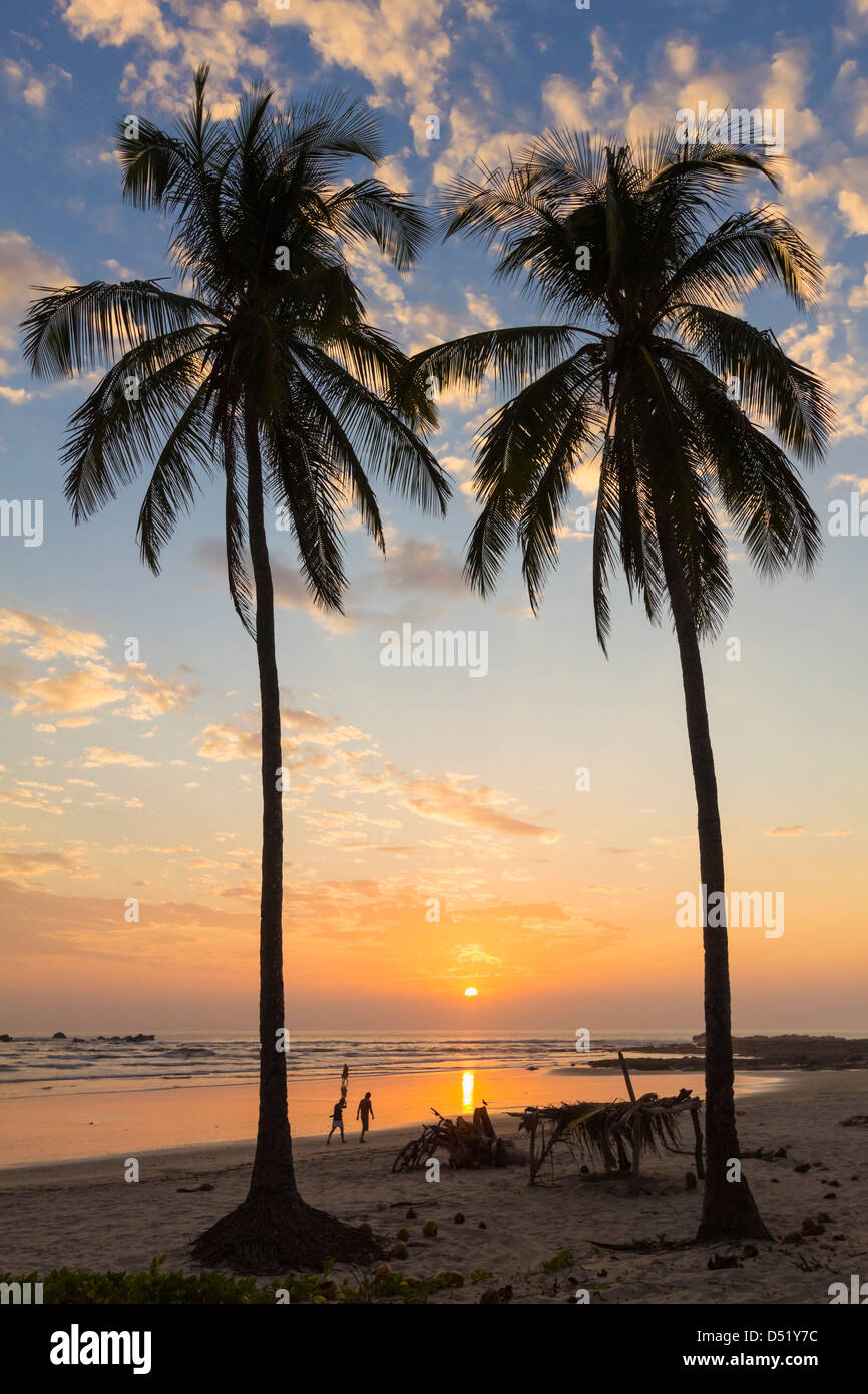 Palm trees at sunset on Playa Guiones surf beach, Nosara, Nicoya Penninsula, Guanacaste Province, Costa Rica Stock Photo