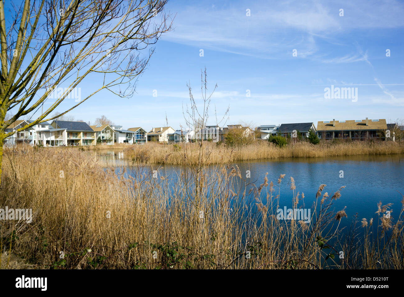 Holiday homes on the other side of one of the lakes on the Lower Mill Estate development in the Cotswold Water Park, Gloucestershire, England, UK Stock Photo