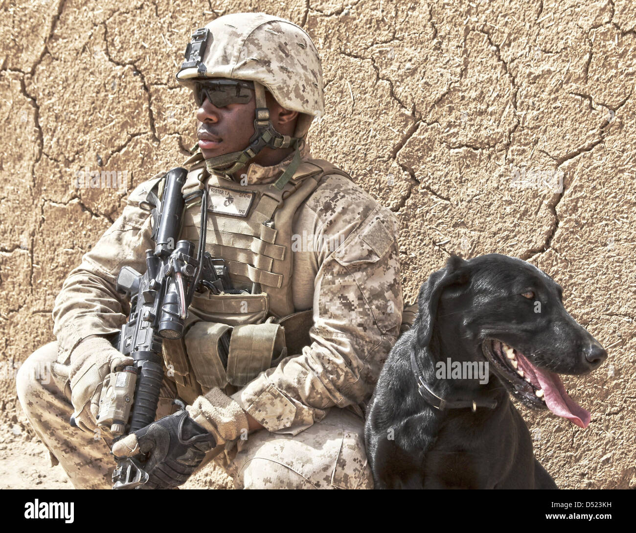 US Marine Lance Cpl. Thomas Foster takes a rest with his military working dog Diamond during a patrol March 6, 2013 in Boldak, Afghanistan. Stock Photo