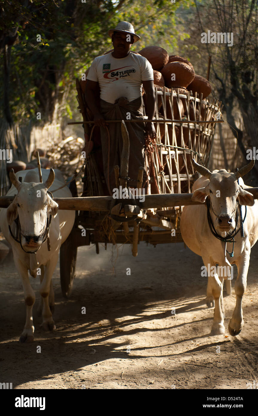 Burmese bullock cart High Resolution Stock Photography and Images Alamy