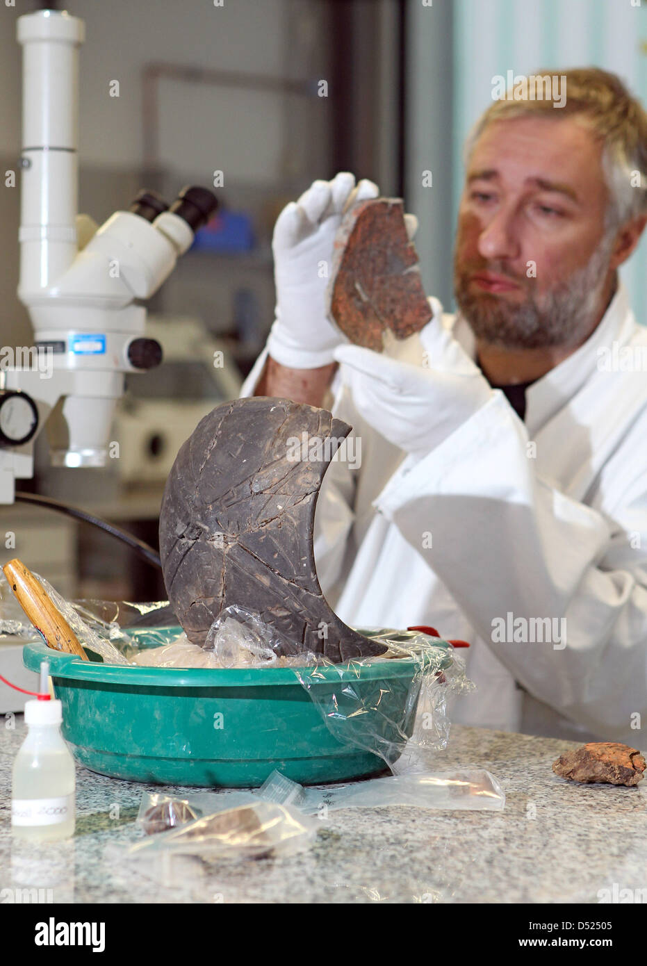 Christian-Heinrich Wunderlich, archaeo-chemist and head of Halle State  Museum for Pre-History's restoring department, examines parts of a  7,200-year-old pottery crock in Halle Salle, Germany, 15 October 2010. In  the crock, one kilogram