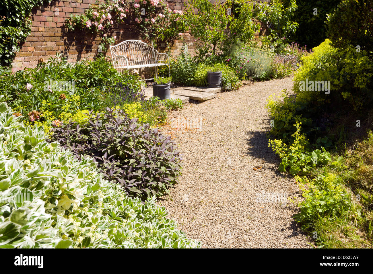 UK gardens. A gravelled path leading to a bench in a walled garden with mature shrub and flower borders. Stock Photo