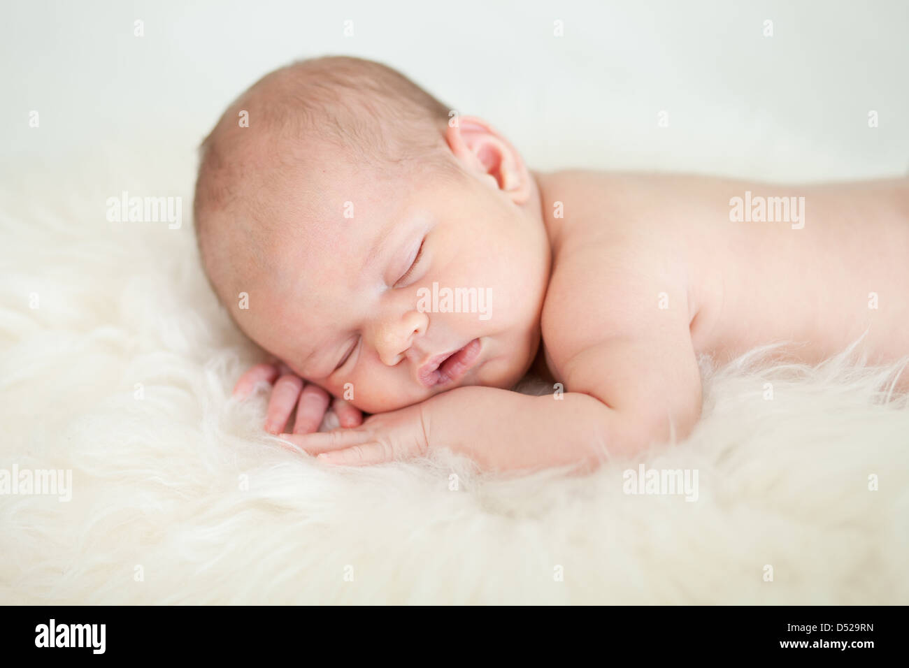 adorable baby sleeping on stomach Stock Photo Alamy