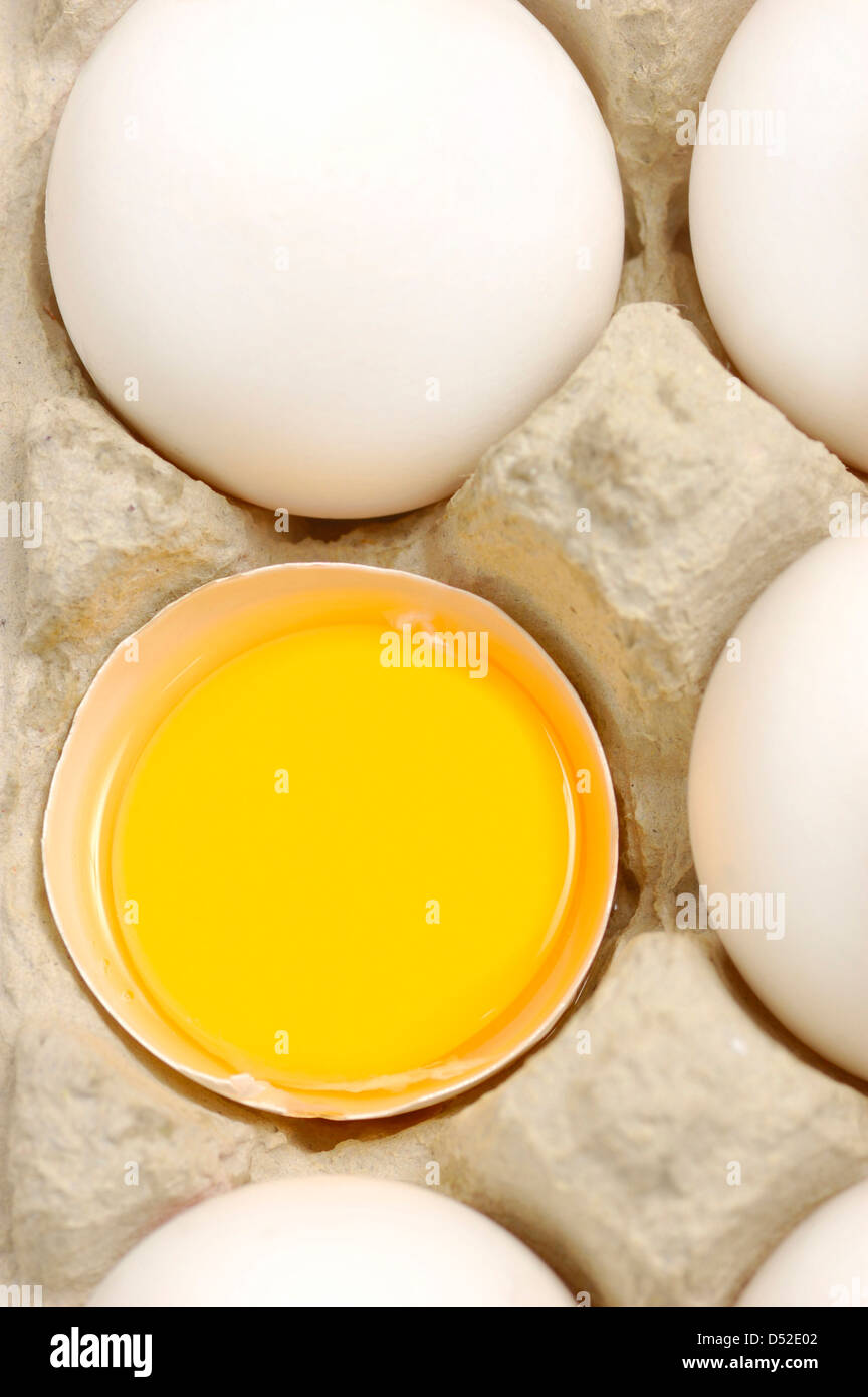 close up of white eggs in a container Stock Photo Alamy