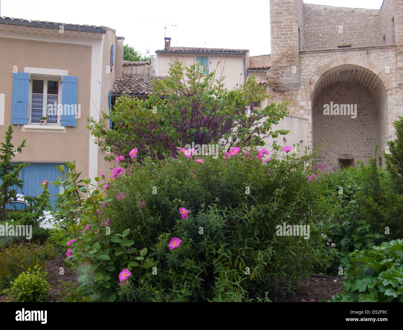 buis les baronnies,drome,france Stock Photo Alamy