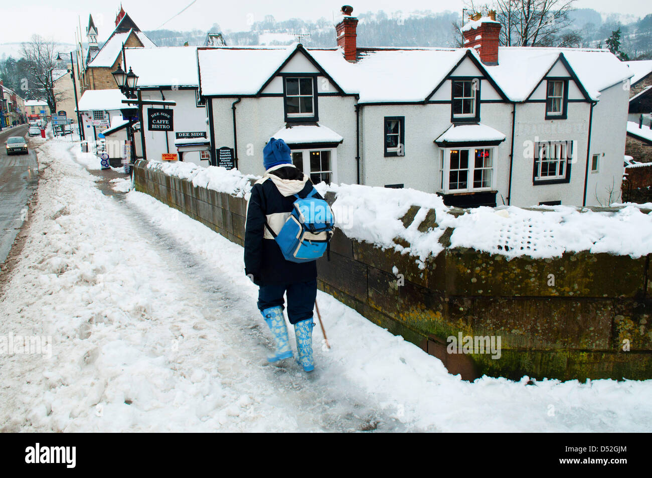 22nd March 2013. Llangollen, Wales, UK. Trees were blown down blocking roads and heavy snow up to 20cms in places disrupted traffic in North Wales last night and today. Photo Credit: GRAHAM M LAWRENCE/Alamy Live News. Stock Photo