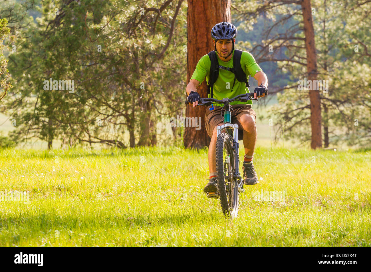 Hispanic Man Riding Bike Hispanic man riding mountain bike in meadow Stock Photo - Alamy