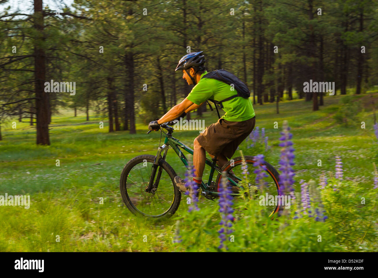Hispanic Man Riding Bike Hispanic man riding mountain bike in meadow Stock Photo - Alamy