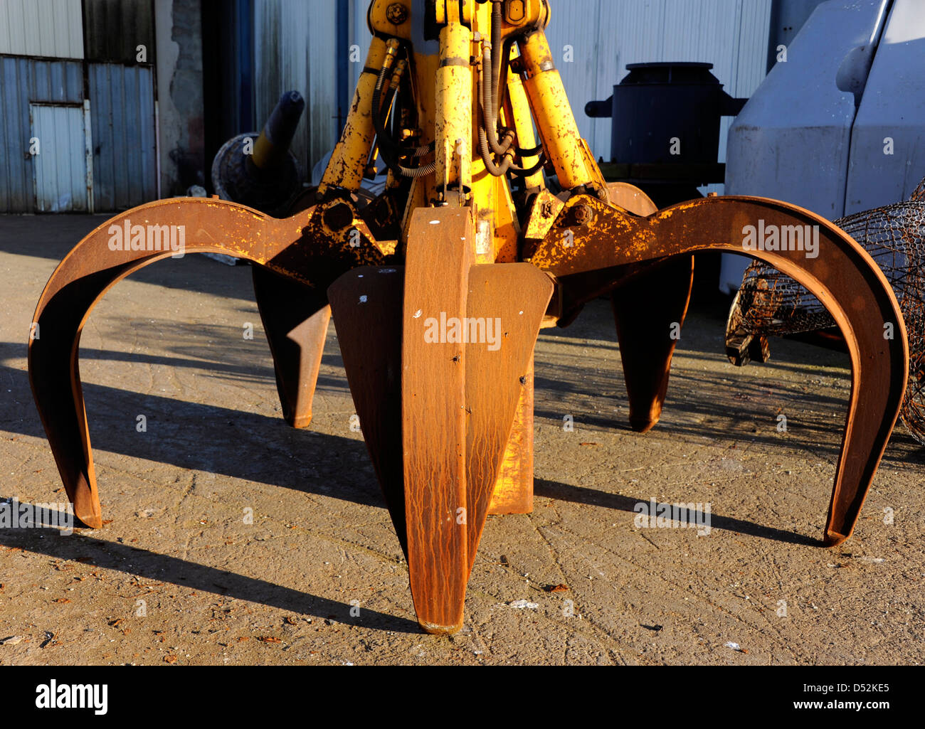 Clamps in Grandville harbour,Manche,BasseNormandie,Cotentin,France