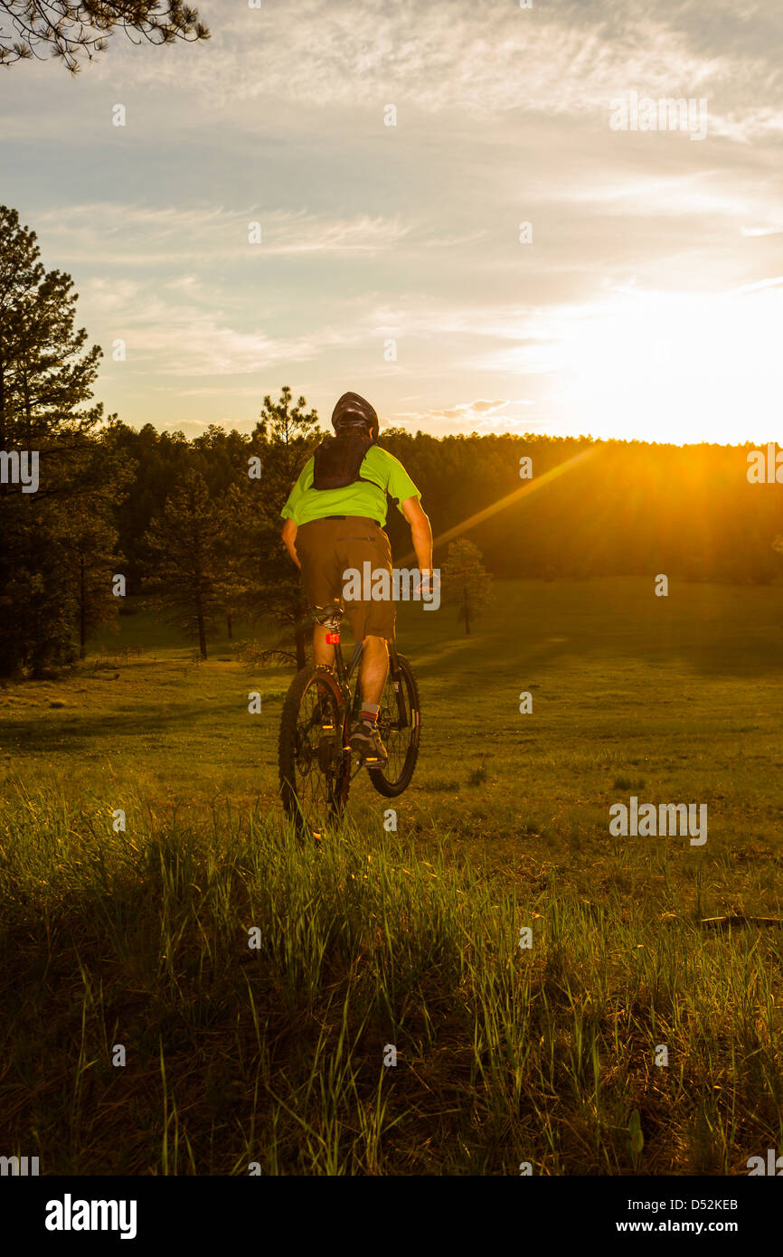 Hispanic Man Riding Bike Hispanic man riding mountain bike in meadow Stock Photo - Alamy