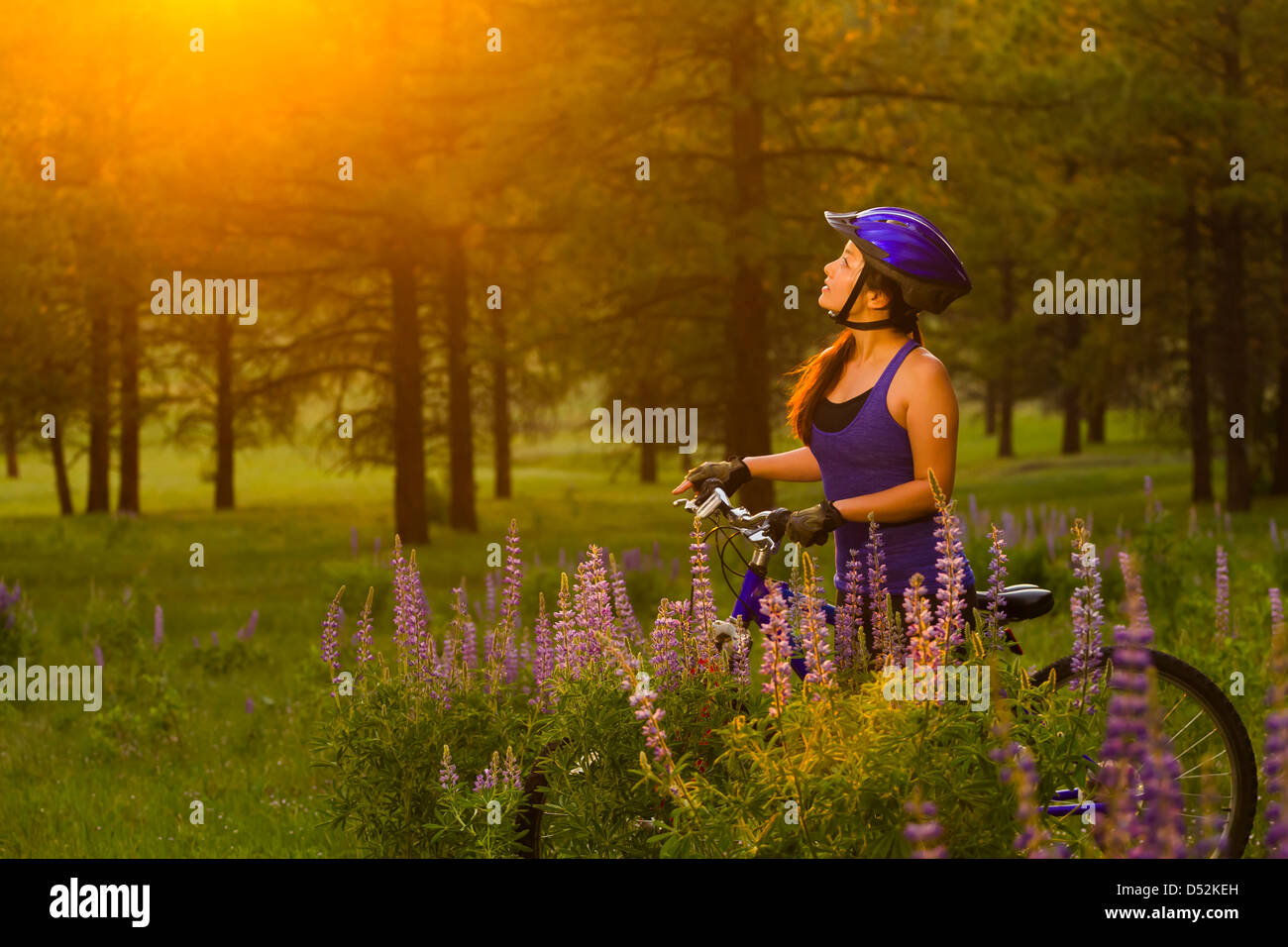 Chinese woman riding bicycle hires stock photography and images Alamy