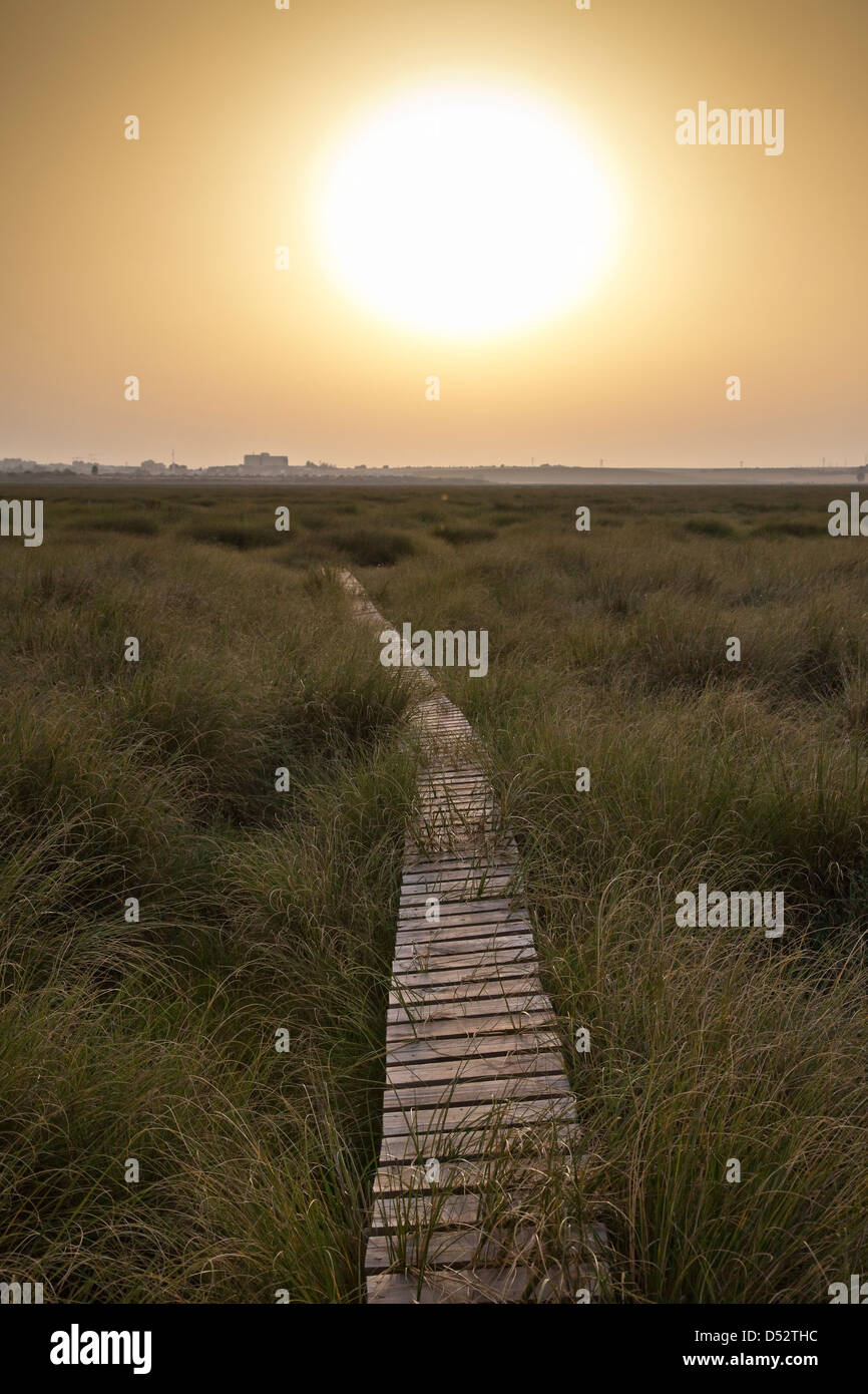 SAN JUAN DEL PUERTO, HUELVA, RIO TINTO MARSHLANDS, ESTUARY, FOOTPATH, SPAIN Stock Photo