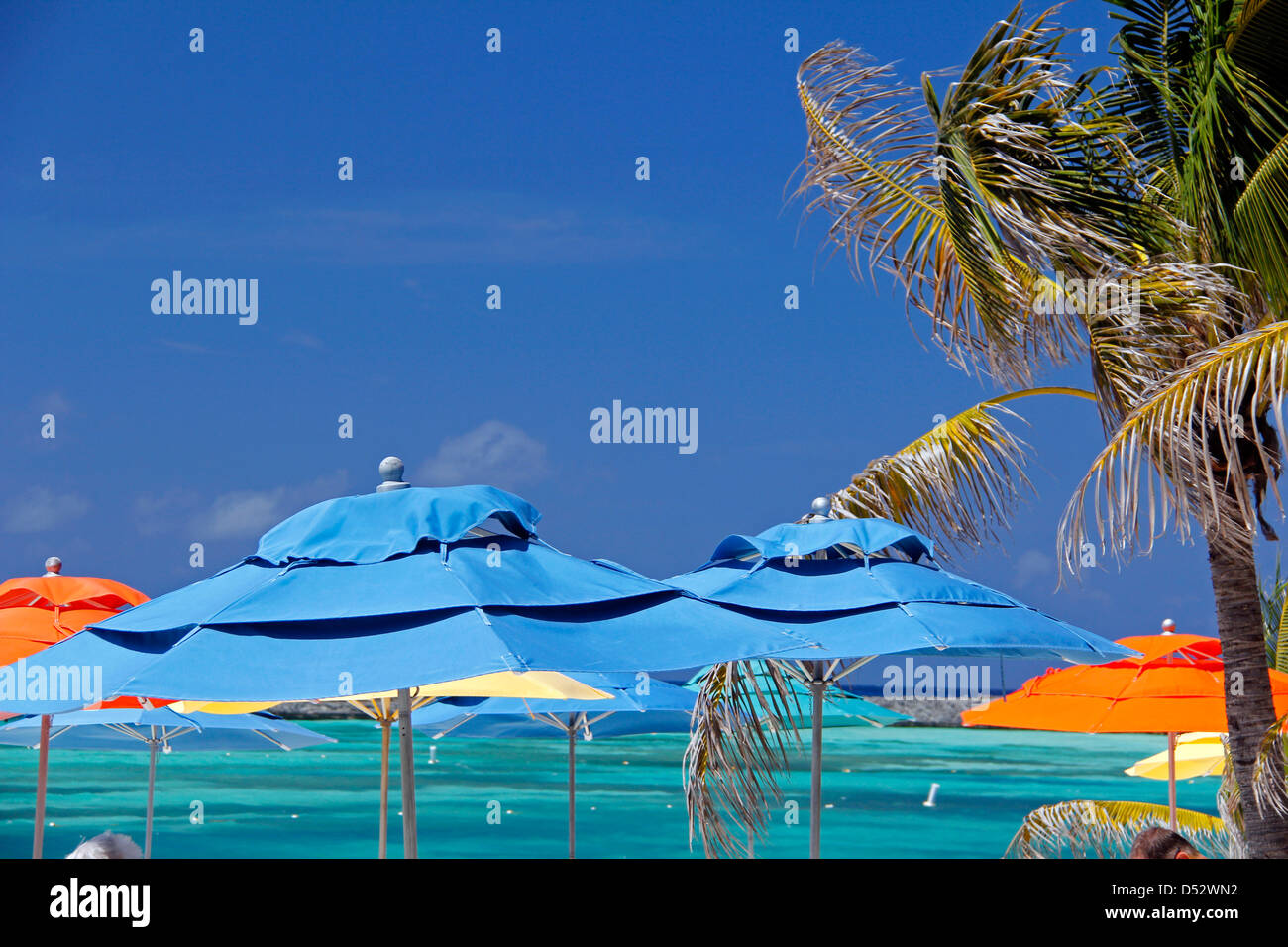 Caribbean, Bahamas, Castaway Cay. Umbrellas and Shade at Castaway Cay Stock Photo Alamy