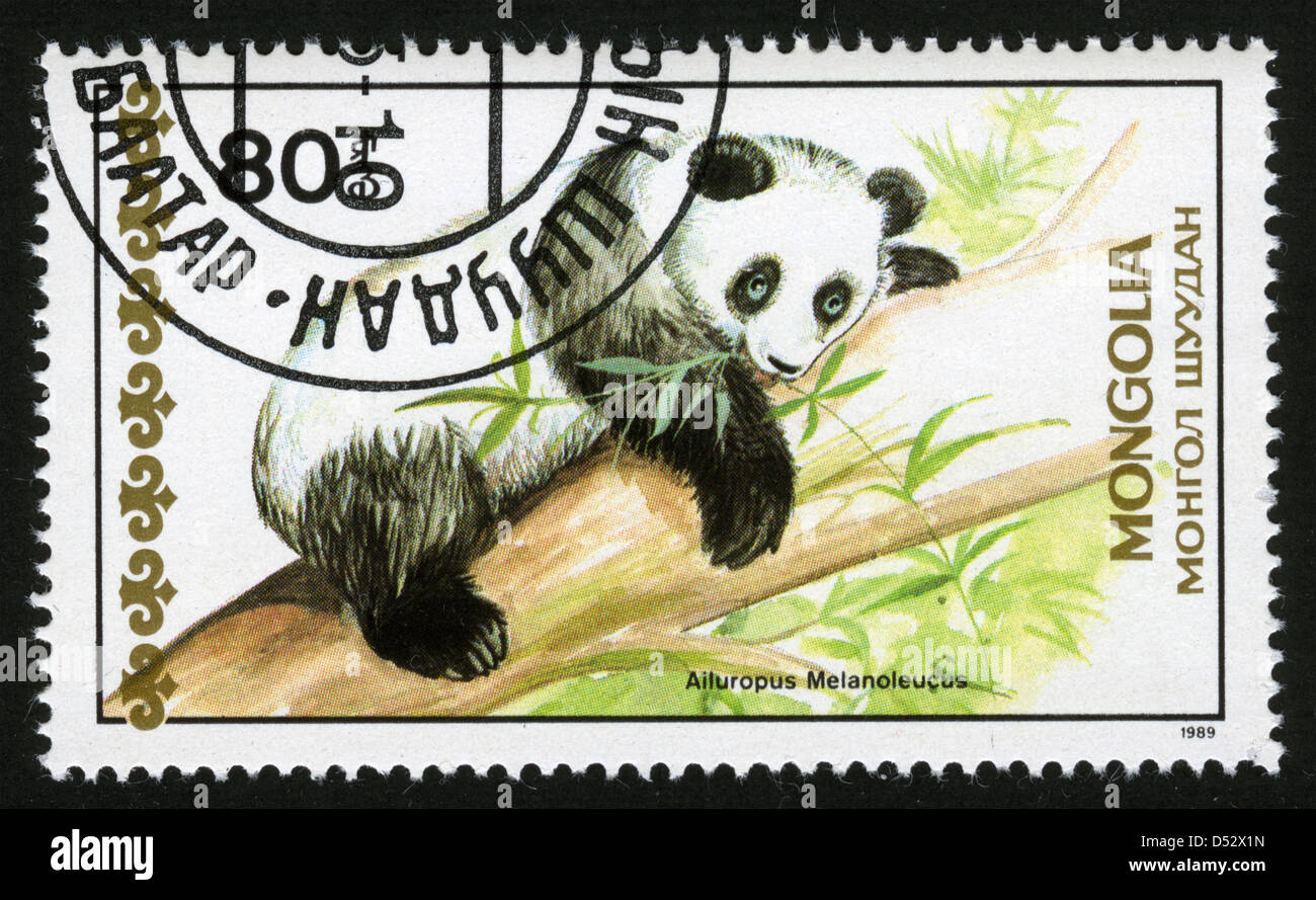 Giant Panda 1989-10 cards Vintage Chinese Souvenir Postcard Set