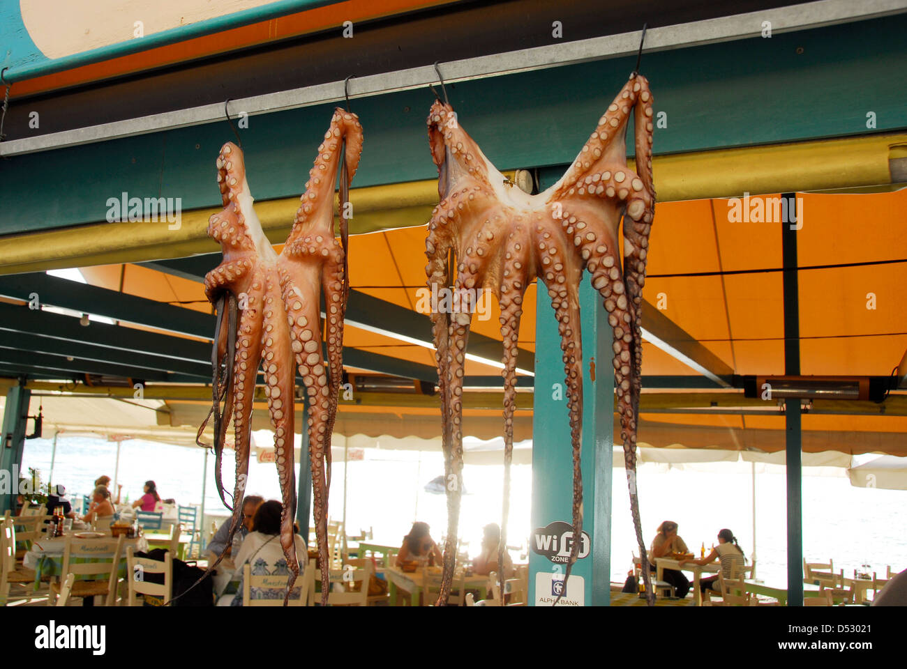 Fresh octopus for sale on the island of Aegina in the Saronic Gulf in Greece Stock Photo