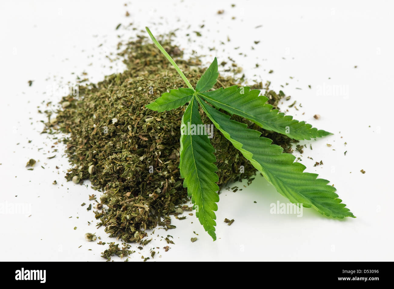 dry marijuana and green leaf Stock Photo