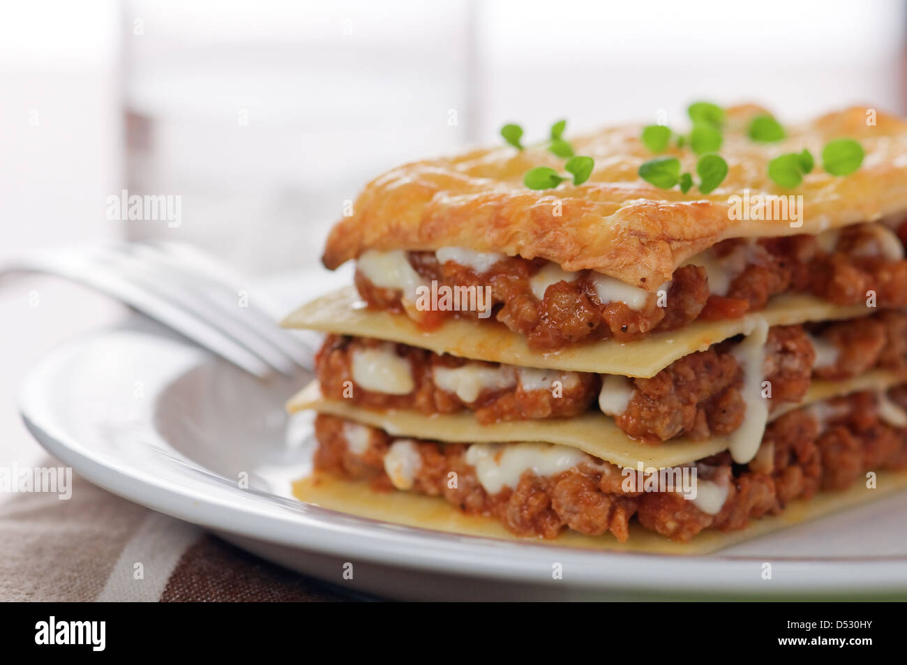 piece of lasagna on white plate Stock Photo