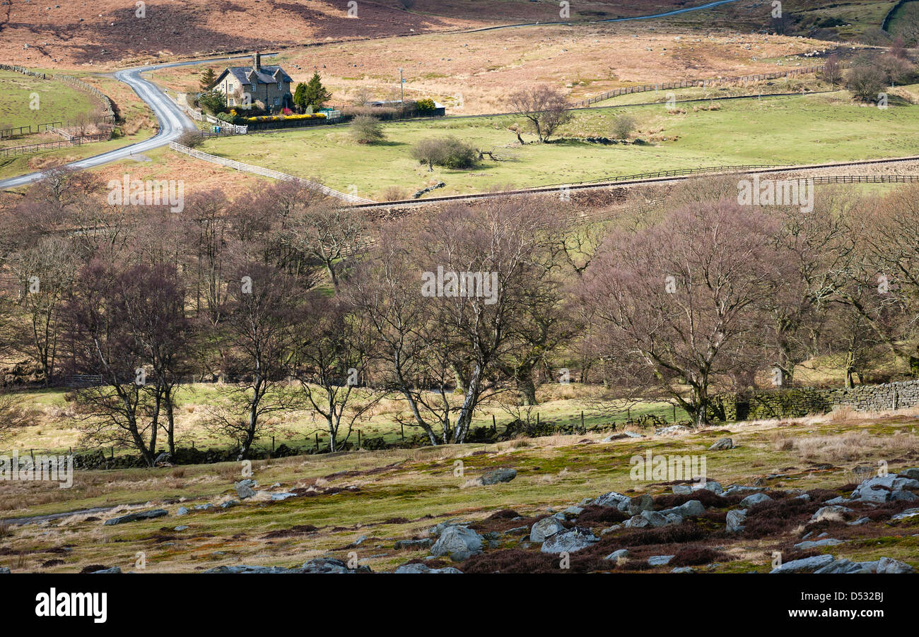 North York Moors National Park in early spring showing heather, rocks, and a single farmhouse in this undulating landscape. Stock Photo