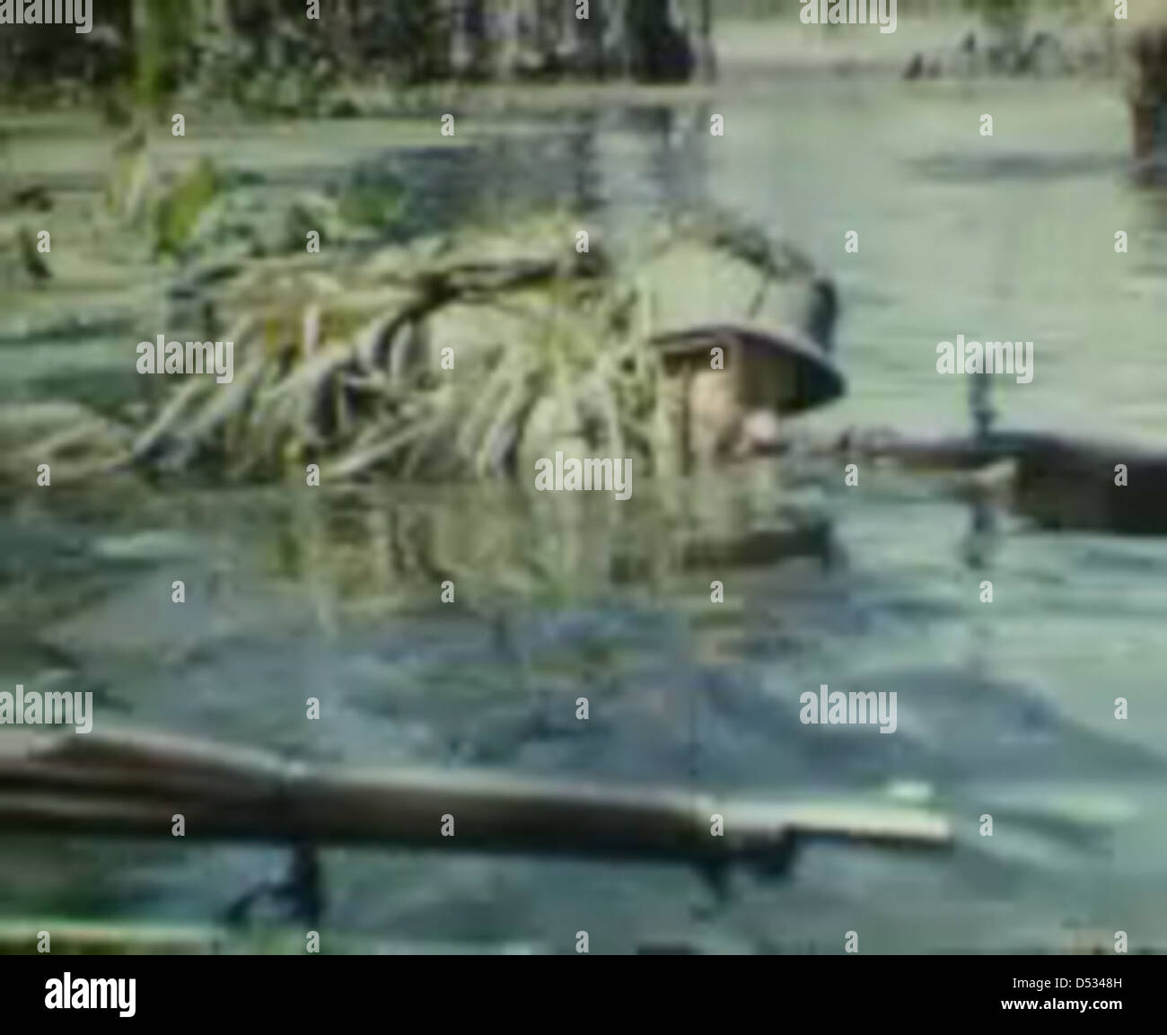 Wakulla Springs & WWII Troop Maneuvers [SILENT] Stock Photo - Alamy