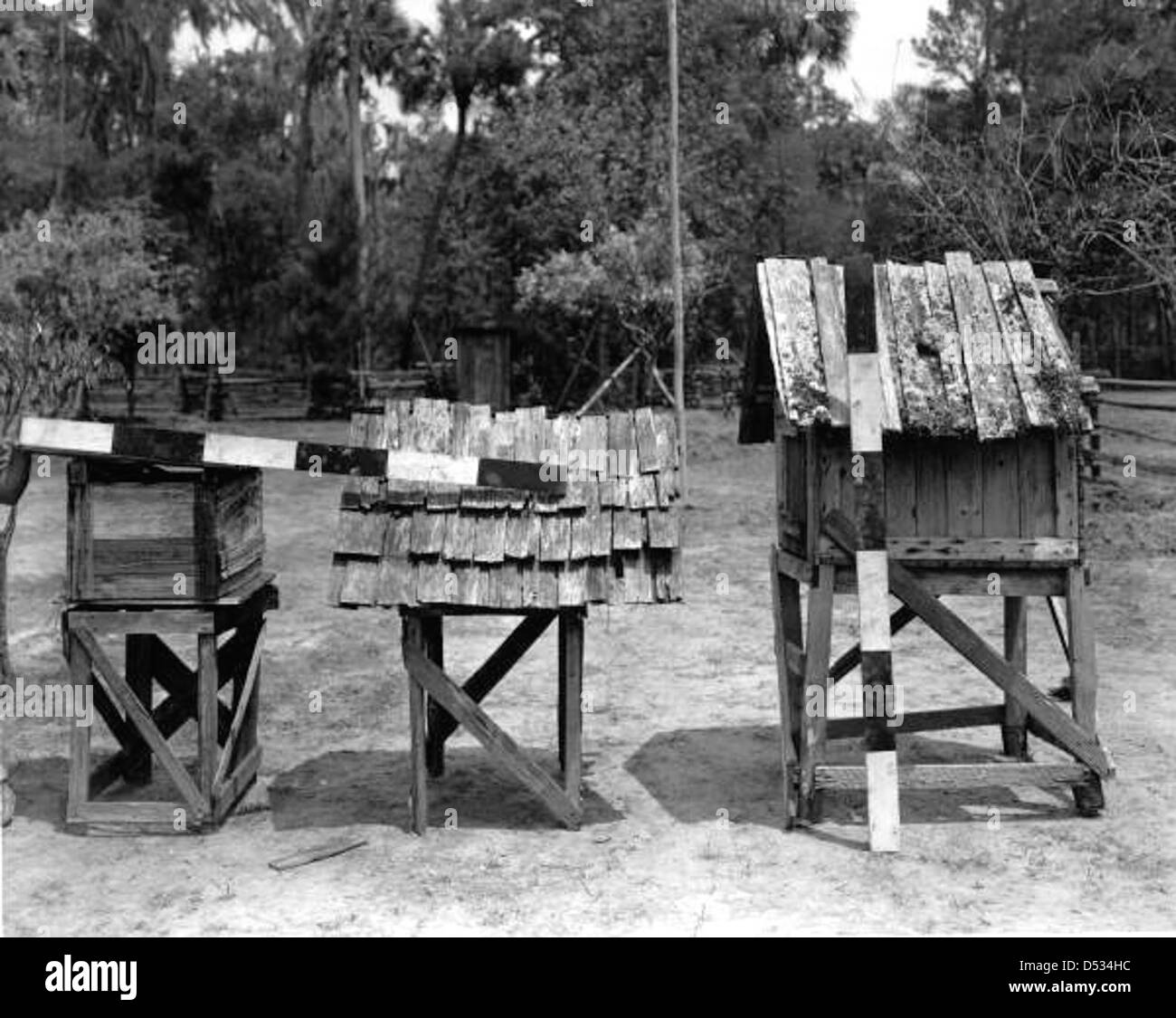 View of chicken coops Stock Photo Alamy