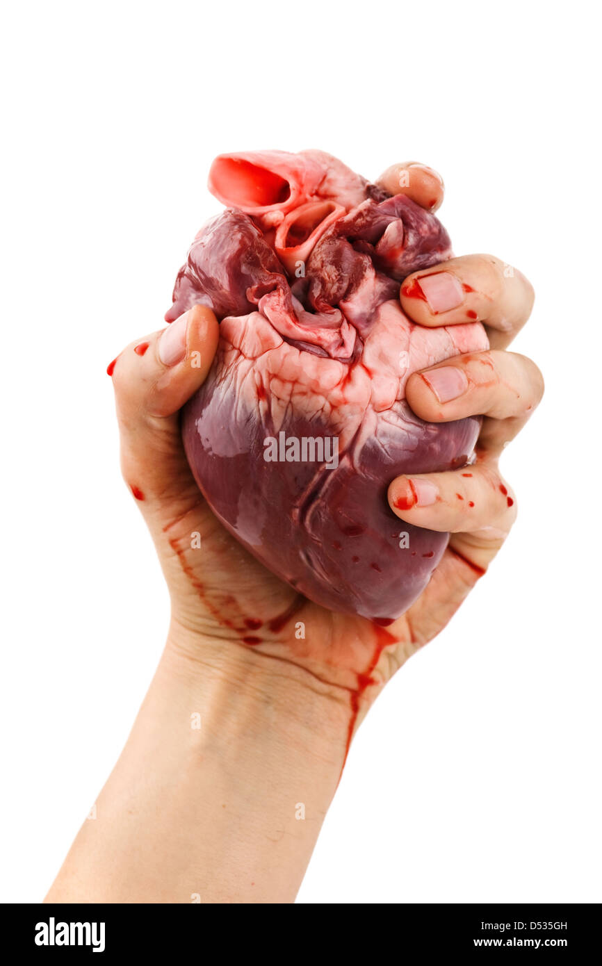 heart in hand isolated on white Stock Photo - Alamy