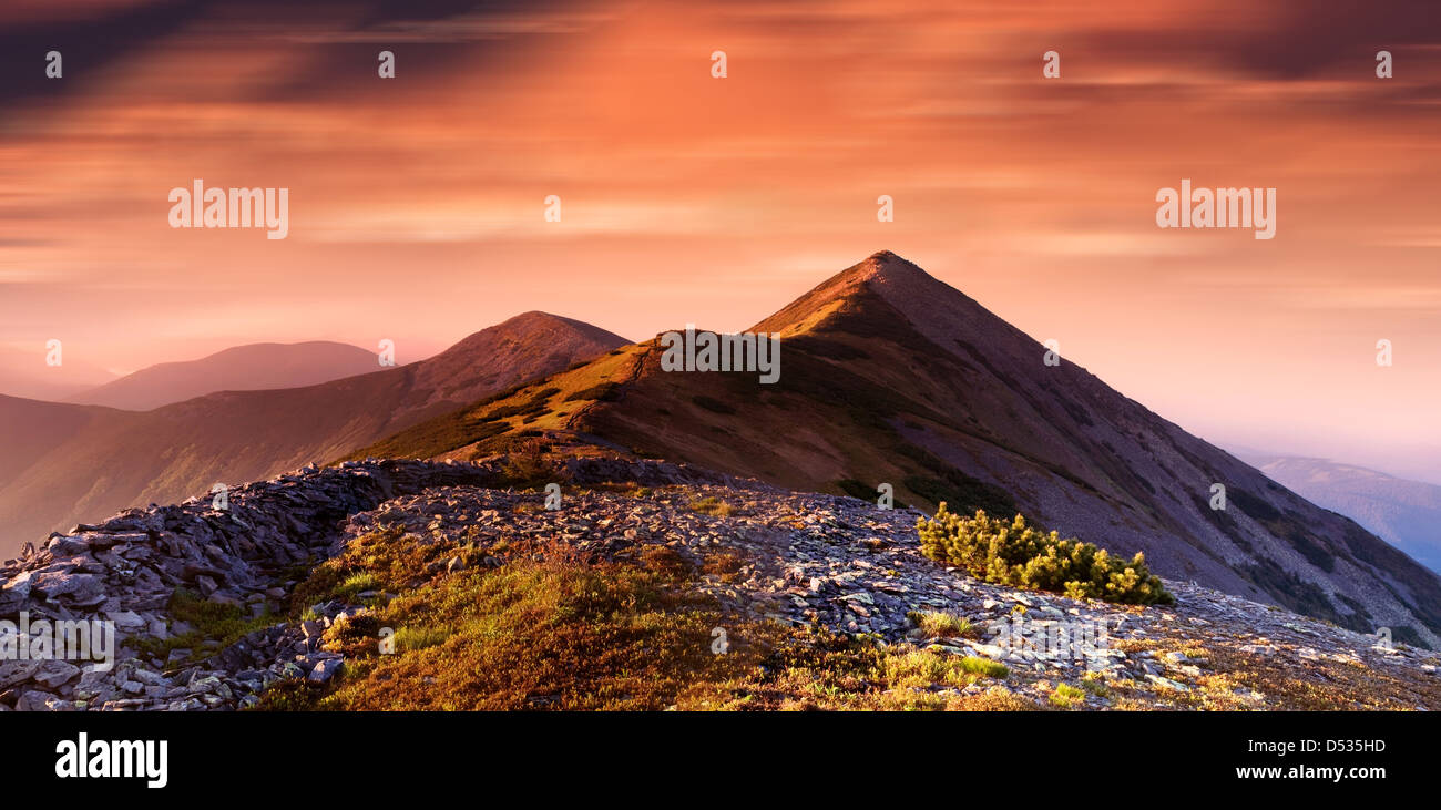 Carpathians mountain in summer time Stock Photo - Alamy