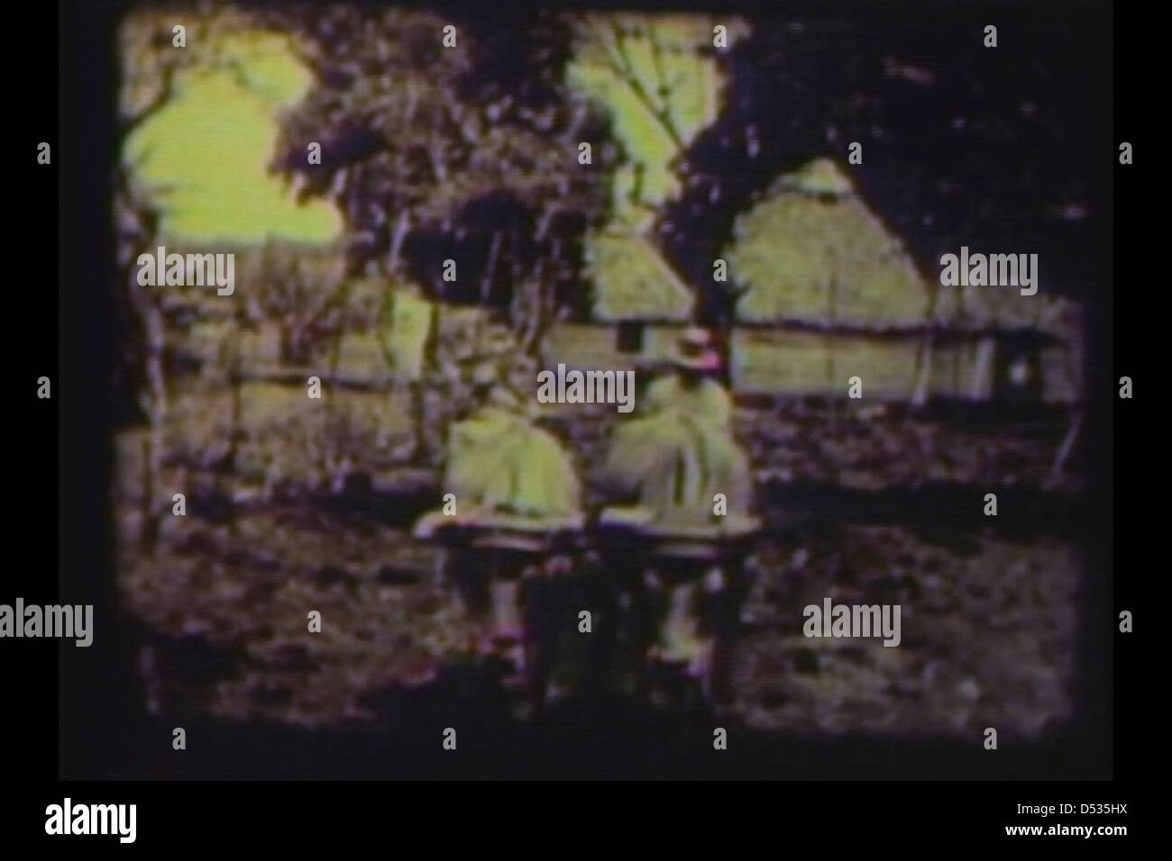 Flower of Tampa Stock Photo Alamy