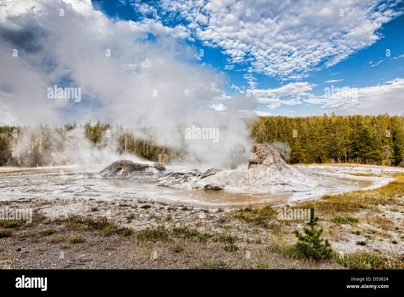 geysers in yellowstone national park, wyoming us Stock Photo