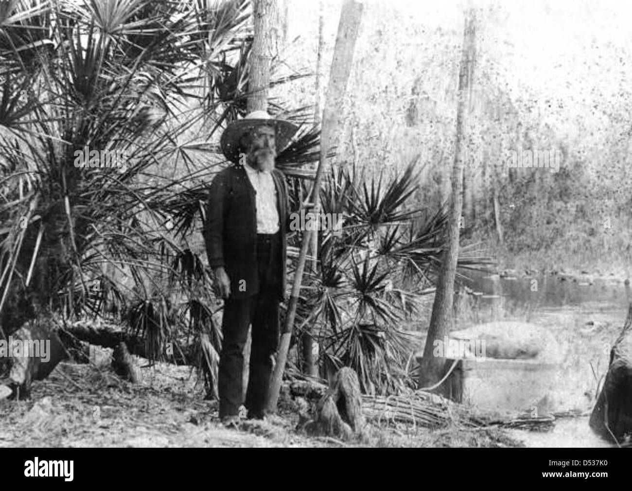 D. M. McClendon Stock Photo Alamy