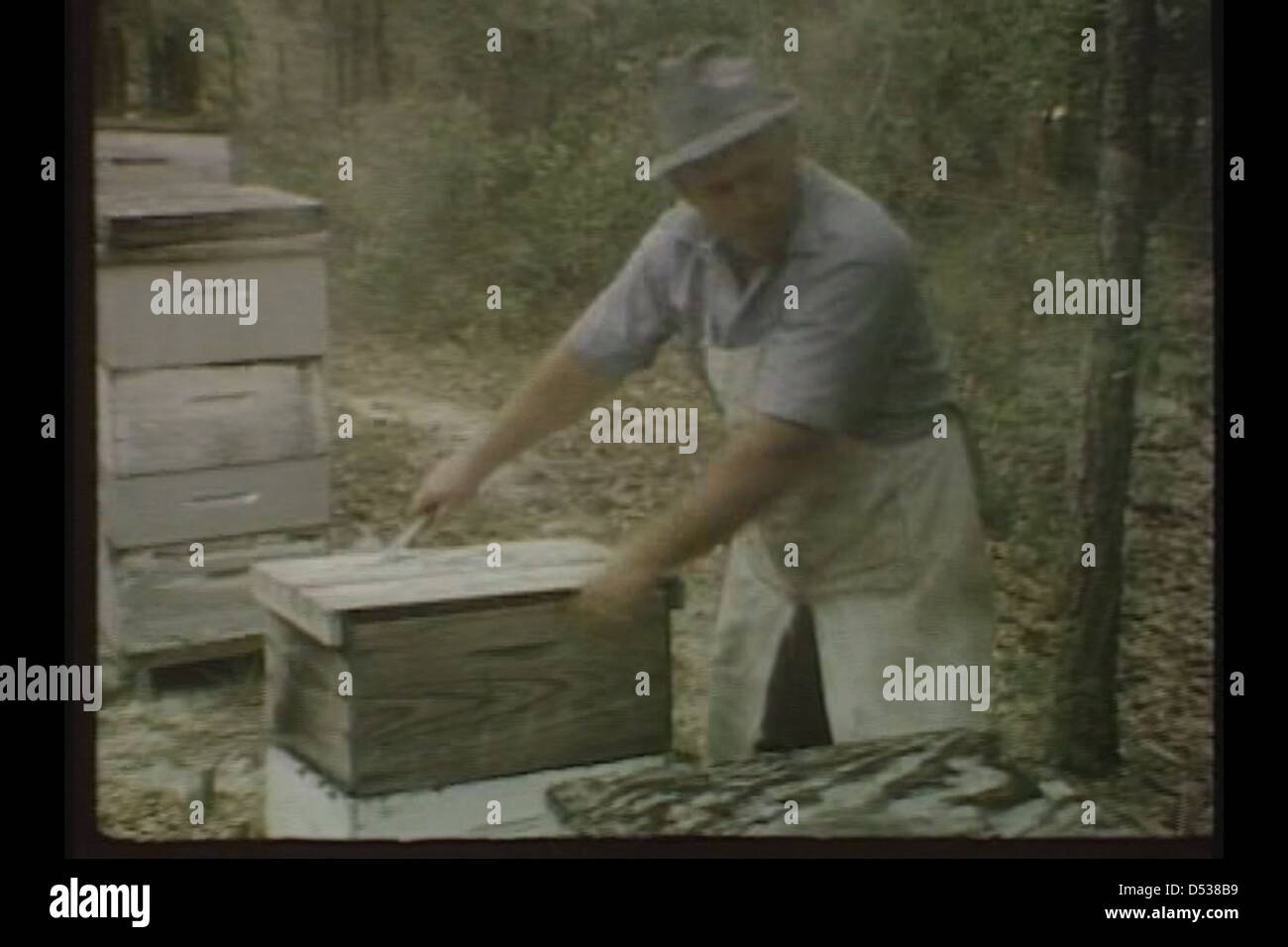 Beekeeper Stock Photo