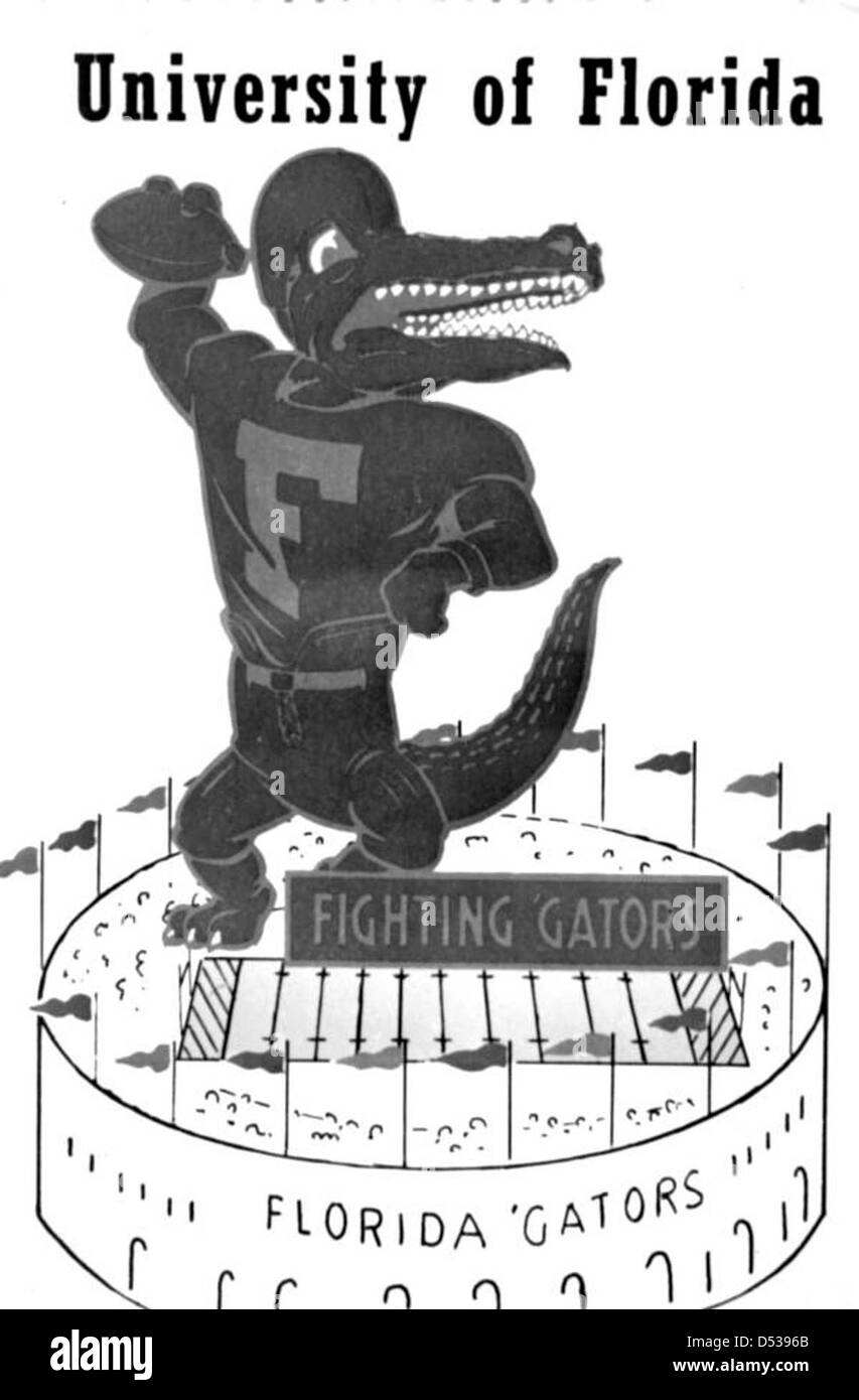 University of Florida, Fighting Gators Stock Photo