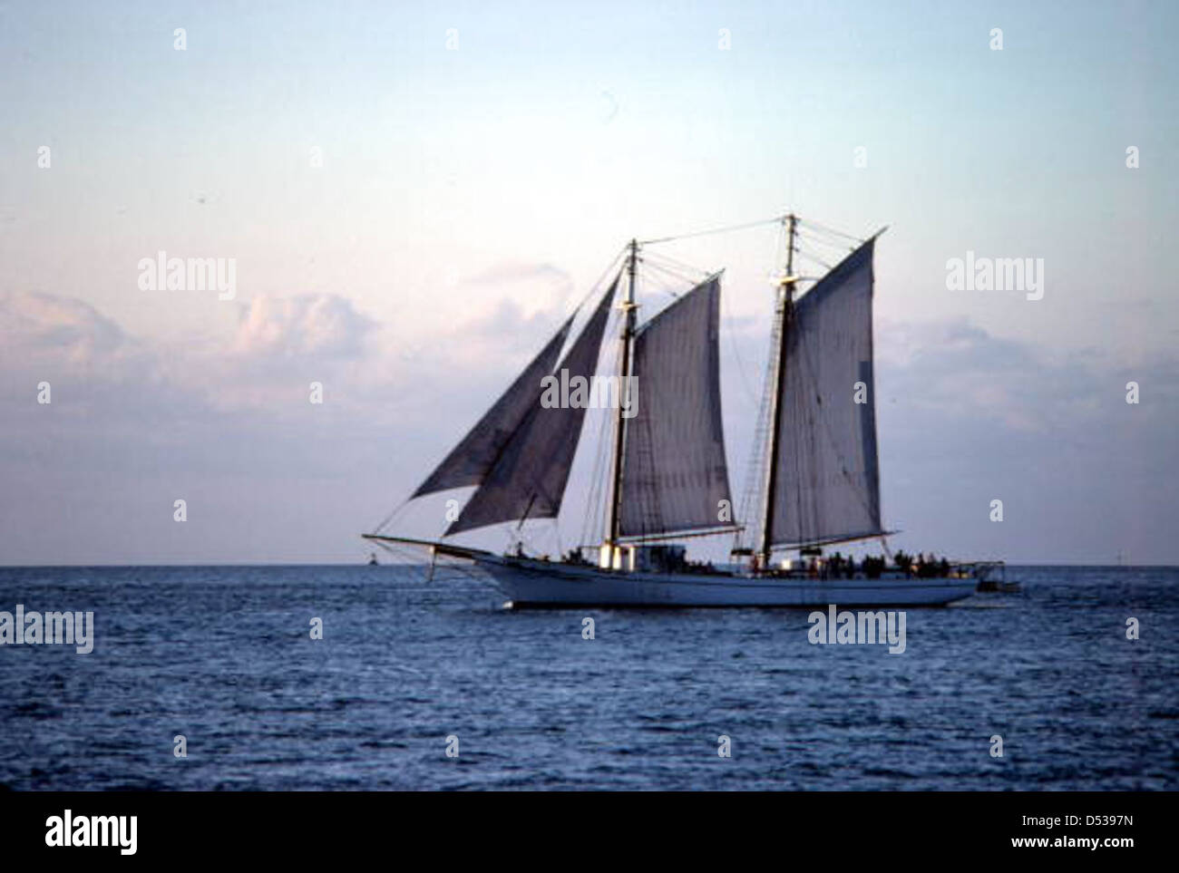 The Schooner Western Union in Key West, Florida Canvas Print by The Titled  Flamingo