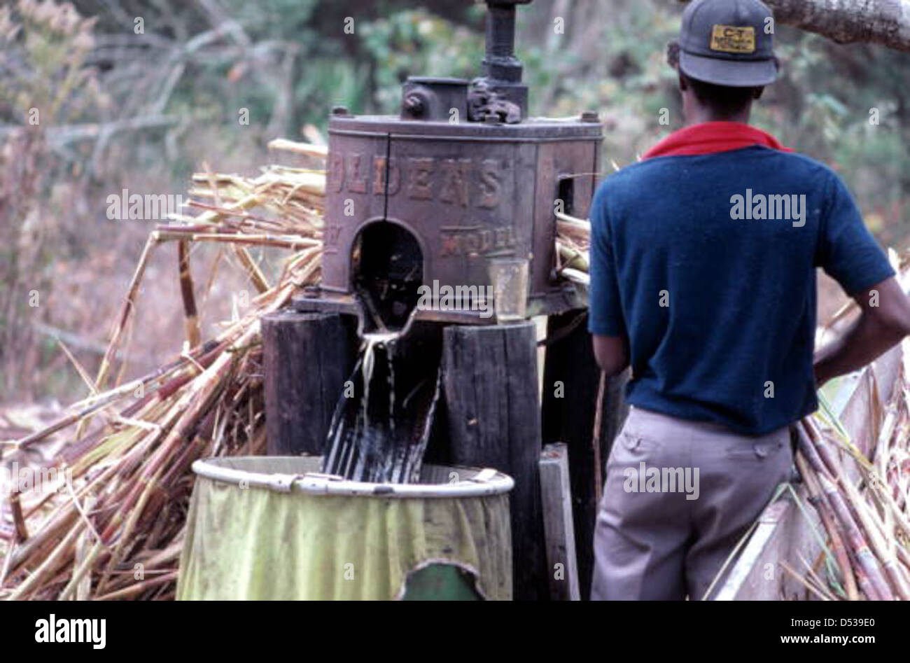 Making cane syrup Jasper, Florida Stock Photo Alamy