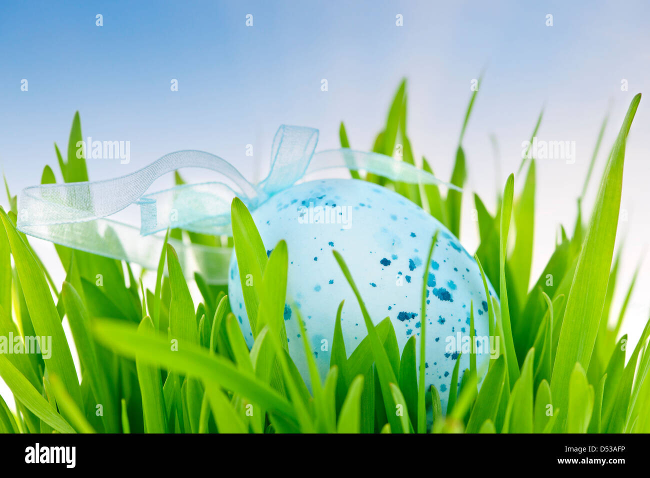 Blue speckled easter egg with ribbon in green grass Stock Photo