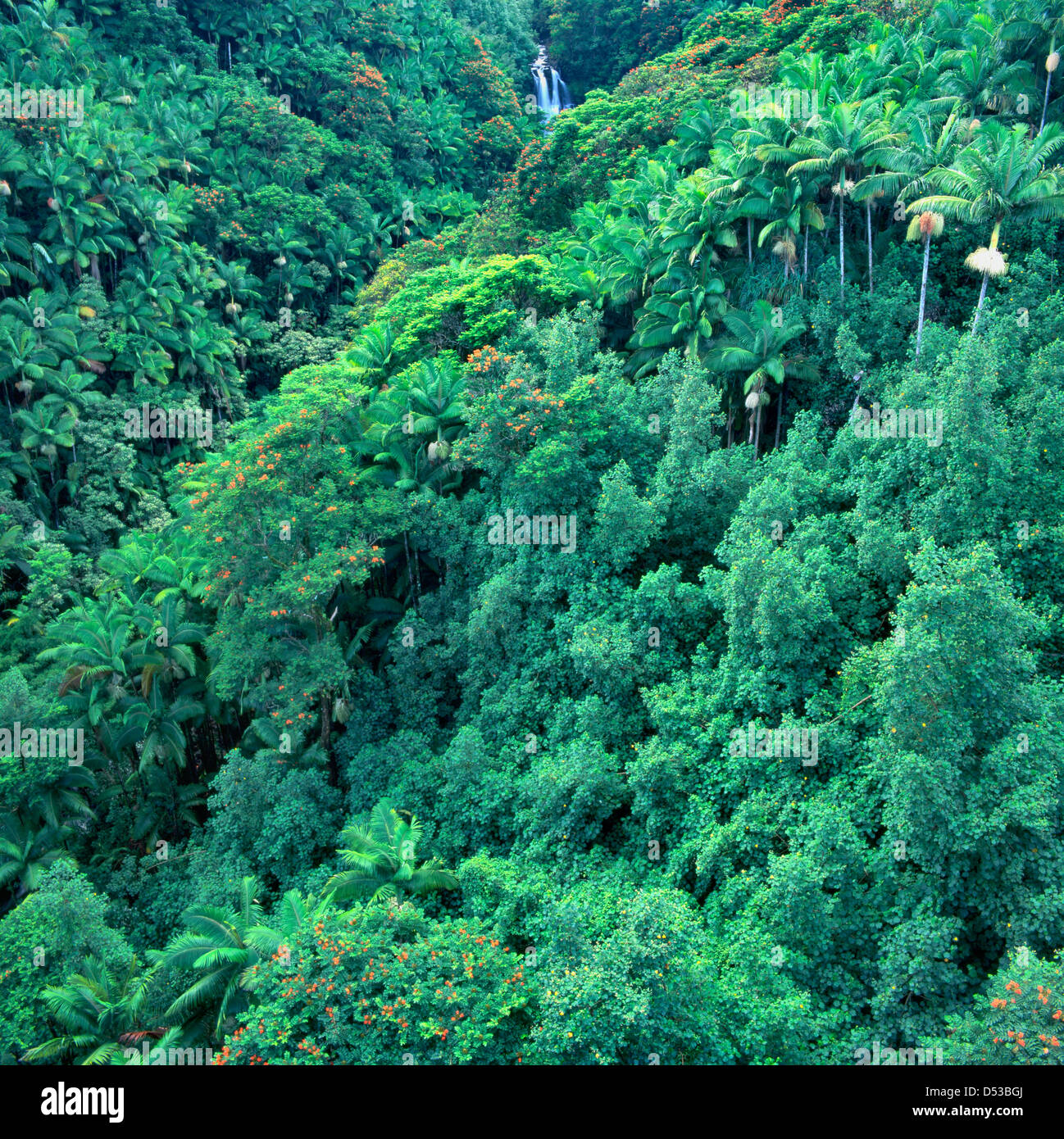 Hamakua Falls and Valley on Big Island (Hawaii), Hawaii, USA Stock