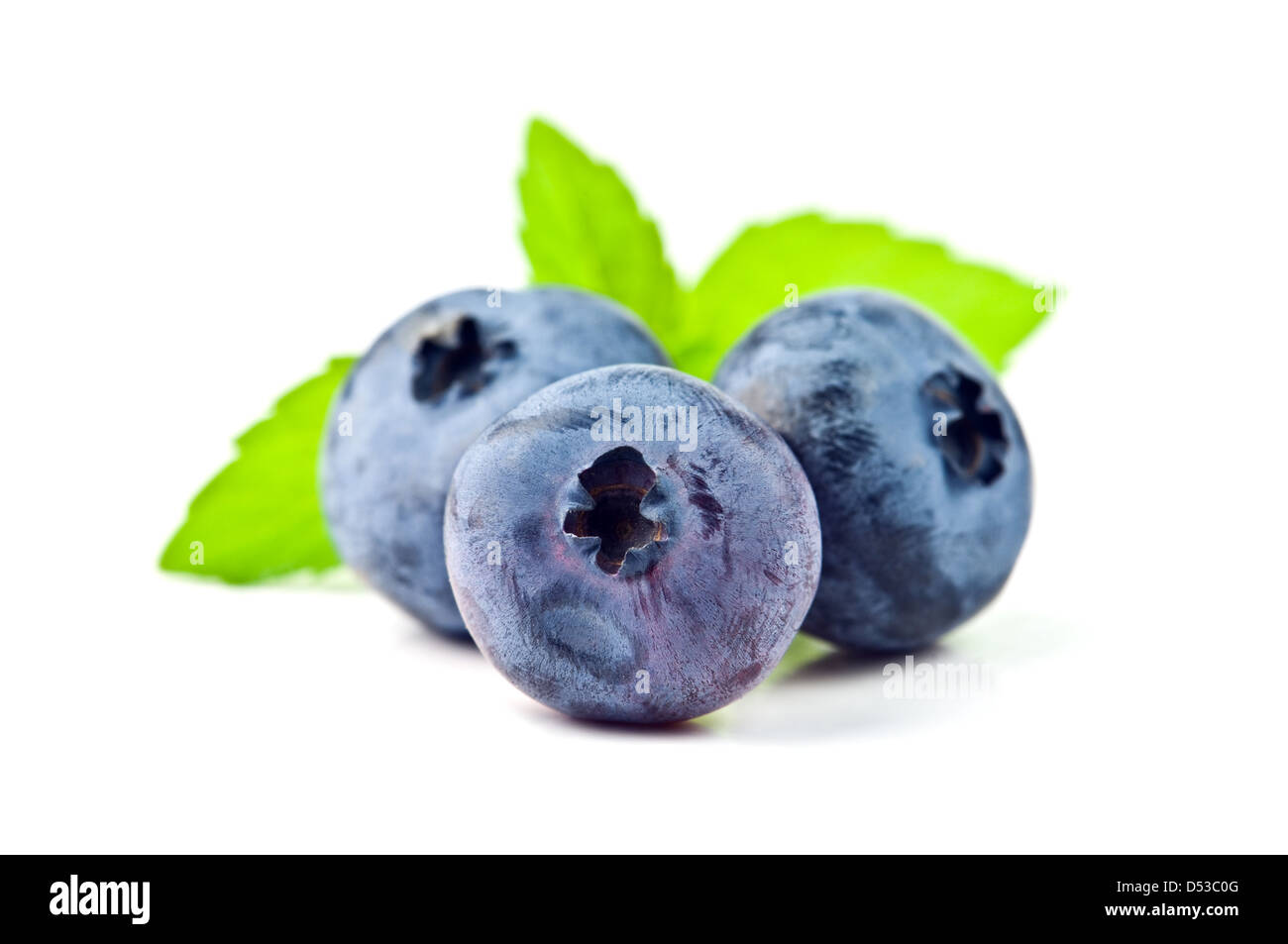 blueberry isolated on white Stock Photo