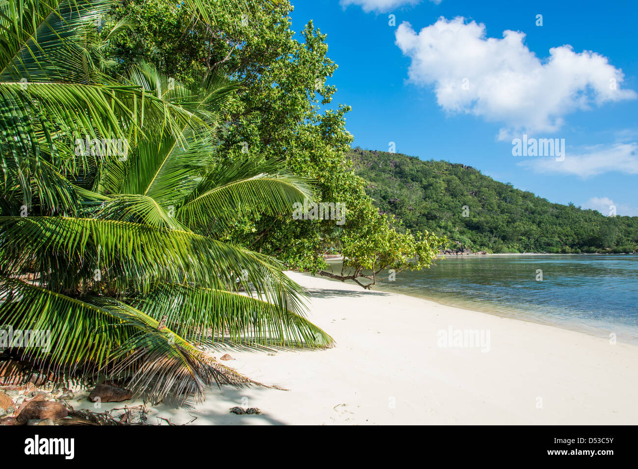 Anse Lazio beach, Praslin island, Seychelles Stock Photo