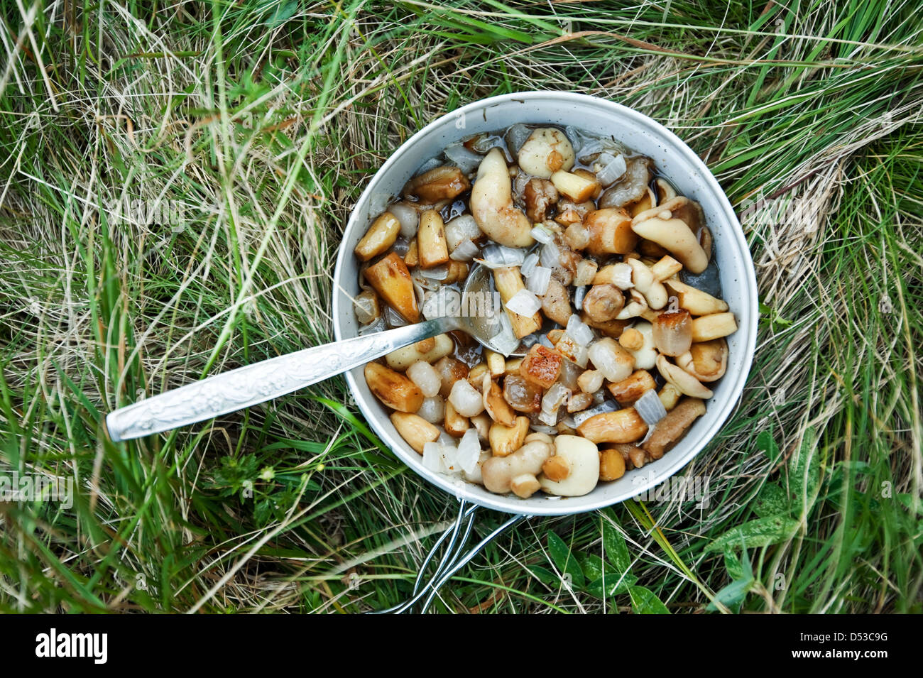 fried mushroom in camp frying pan Stock Photo