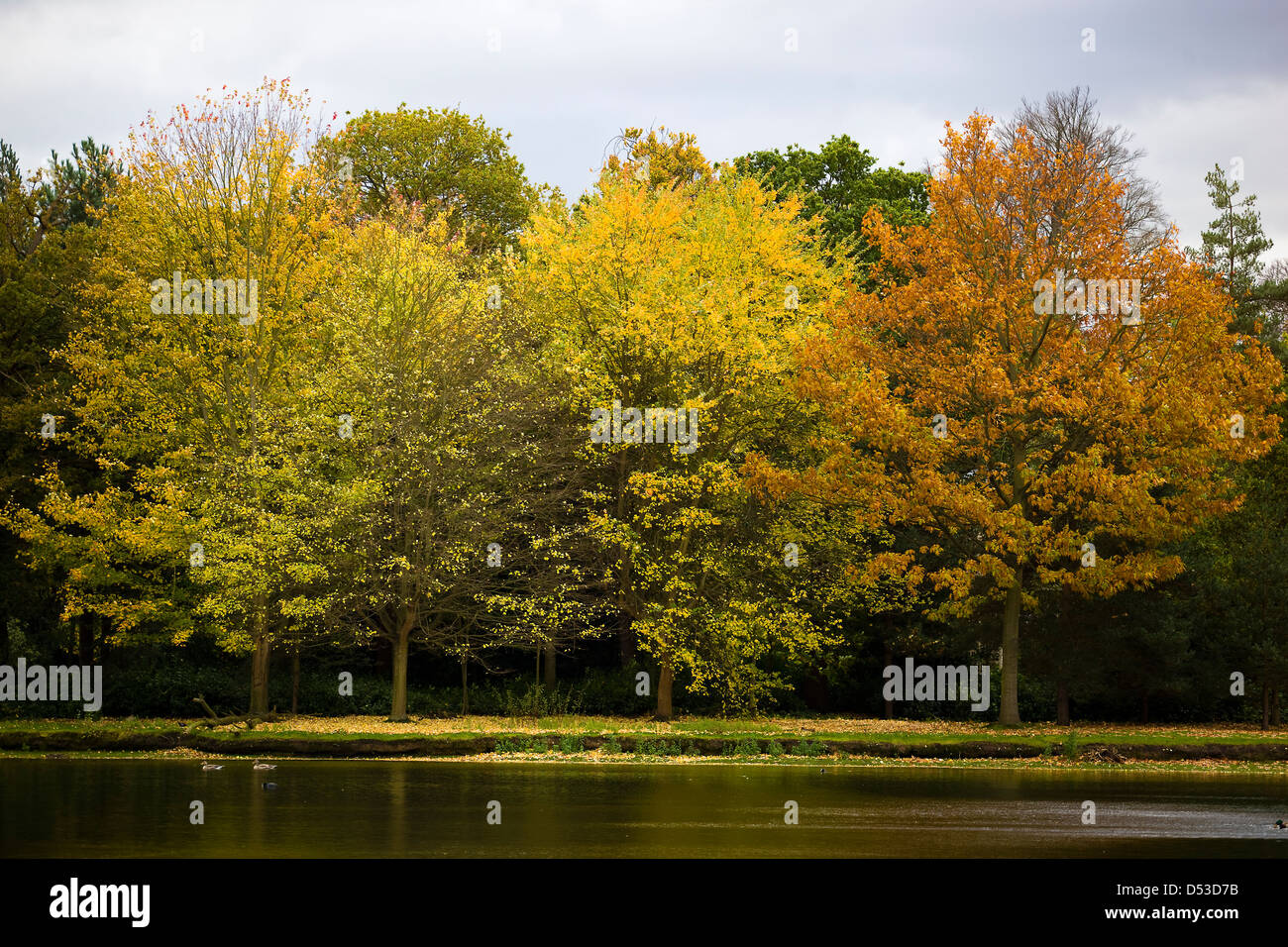Claremont landscape gardens hires stock photography and images Alamy