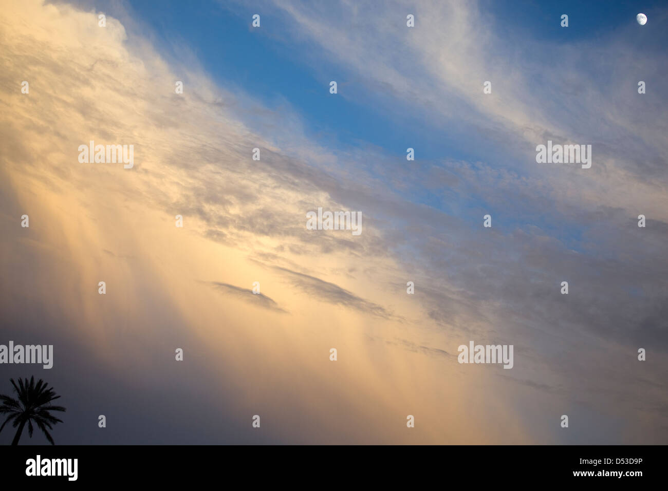 Al moon gardens hi-res stock photography and images - Alamy