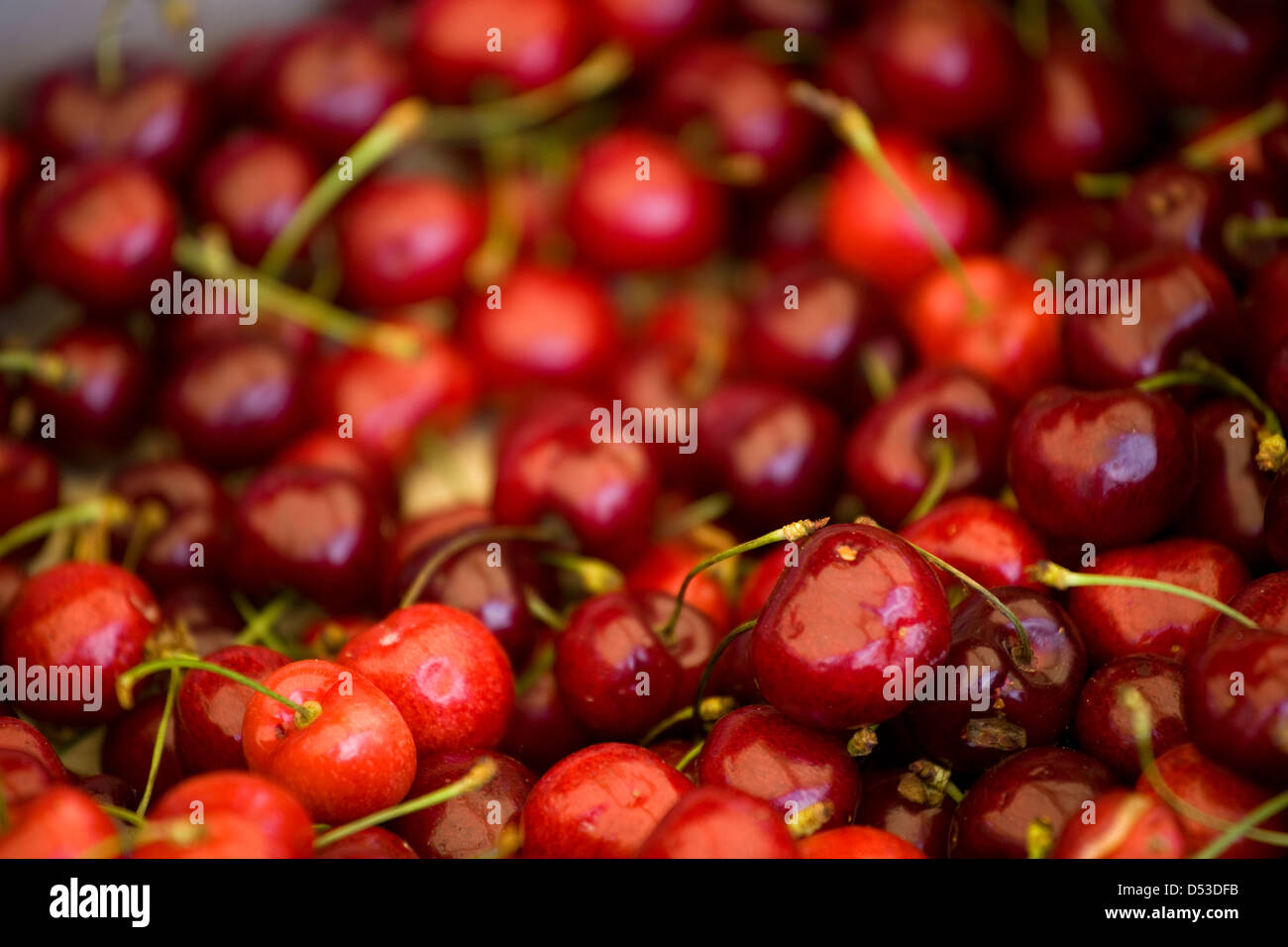 Cherries on the market stalls in Tuscany, Italy Stock Photo Alamy