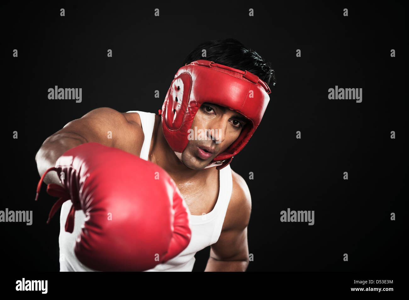 Portrait of a male boxer practicing boxing Stock Photo Alamy