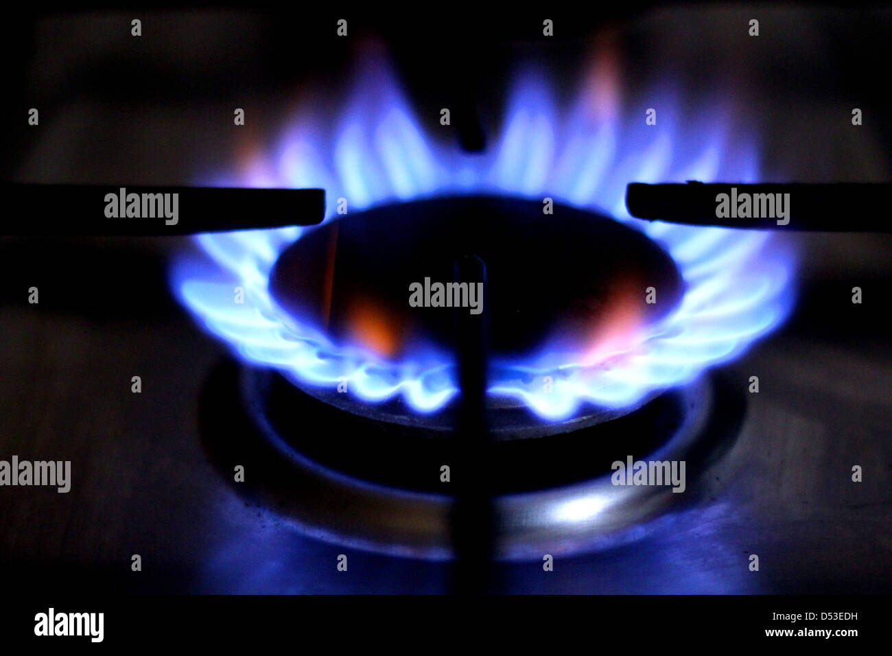 Gas hob flames Stock Photo Alamy