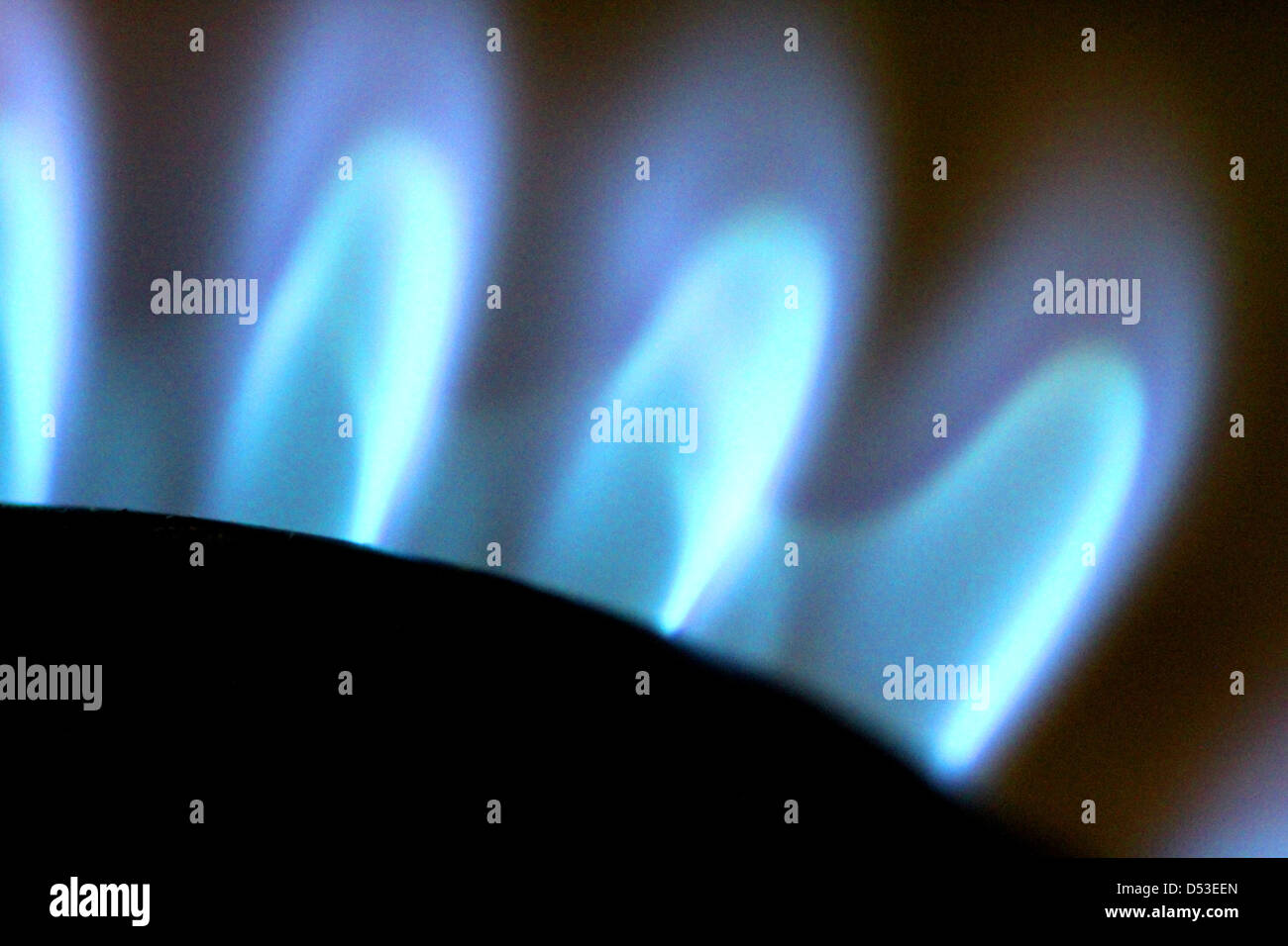 Gas hob flames Stock Photo Alamy