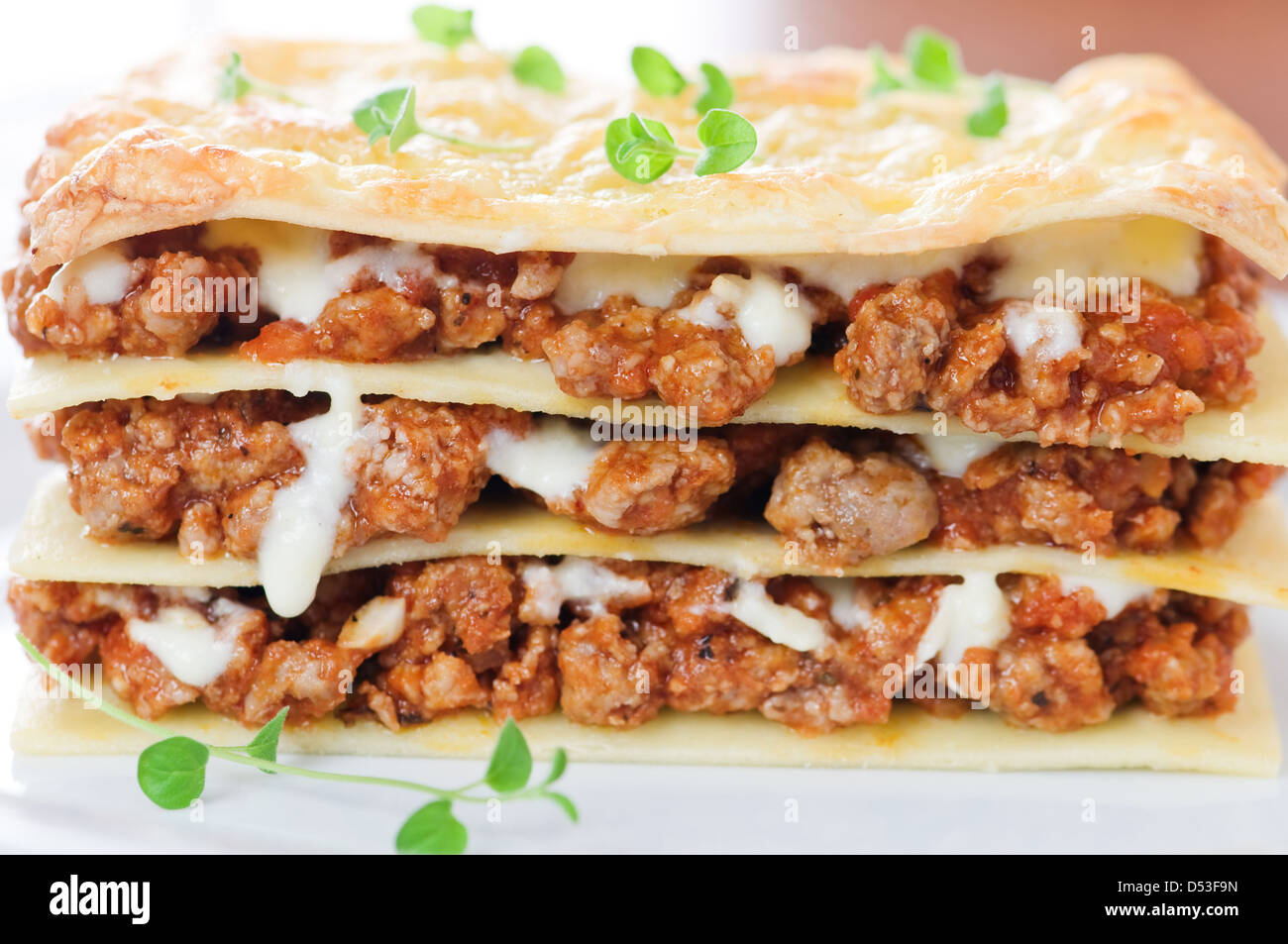 piece of lasagna on white plate Stock Photo