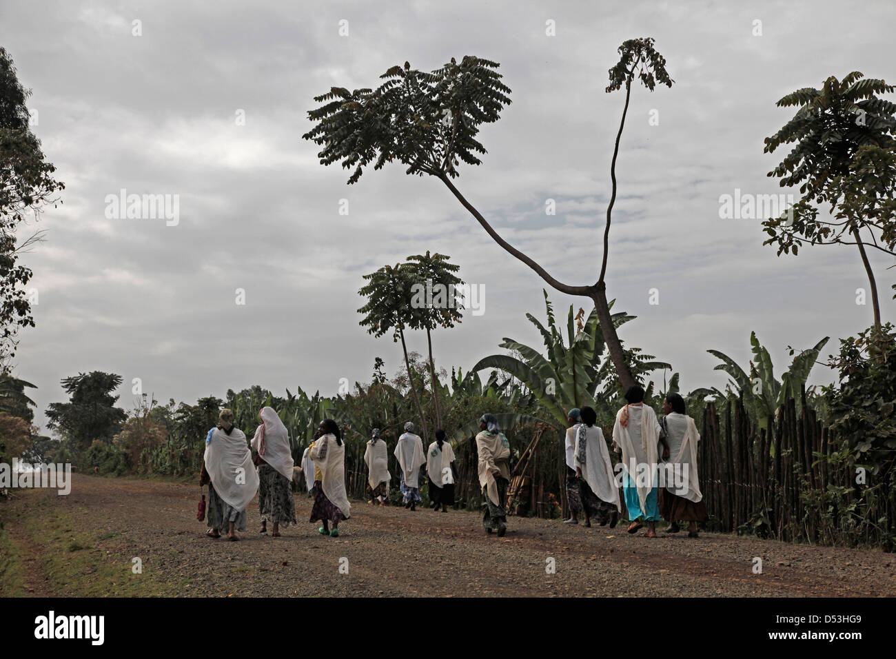 Jimma ethiopia hi-res stock photography and images - Alamy